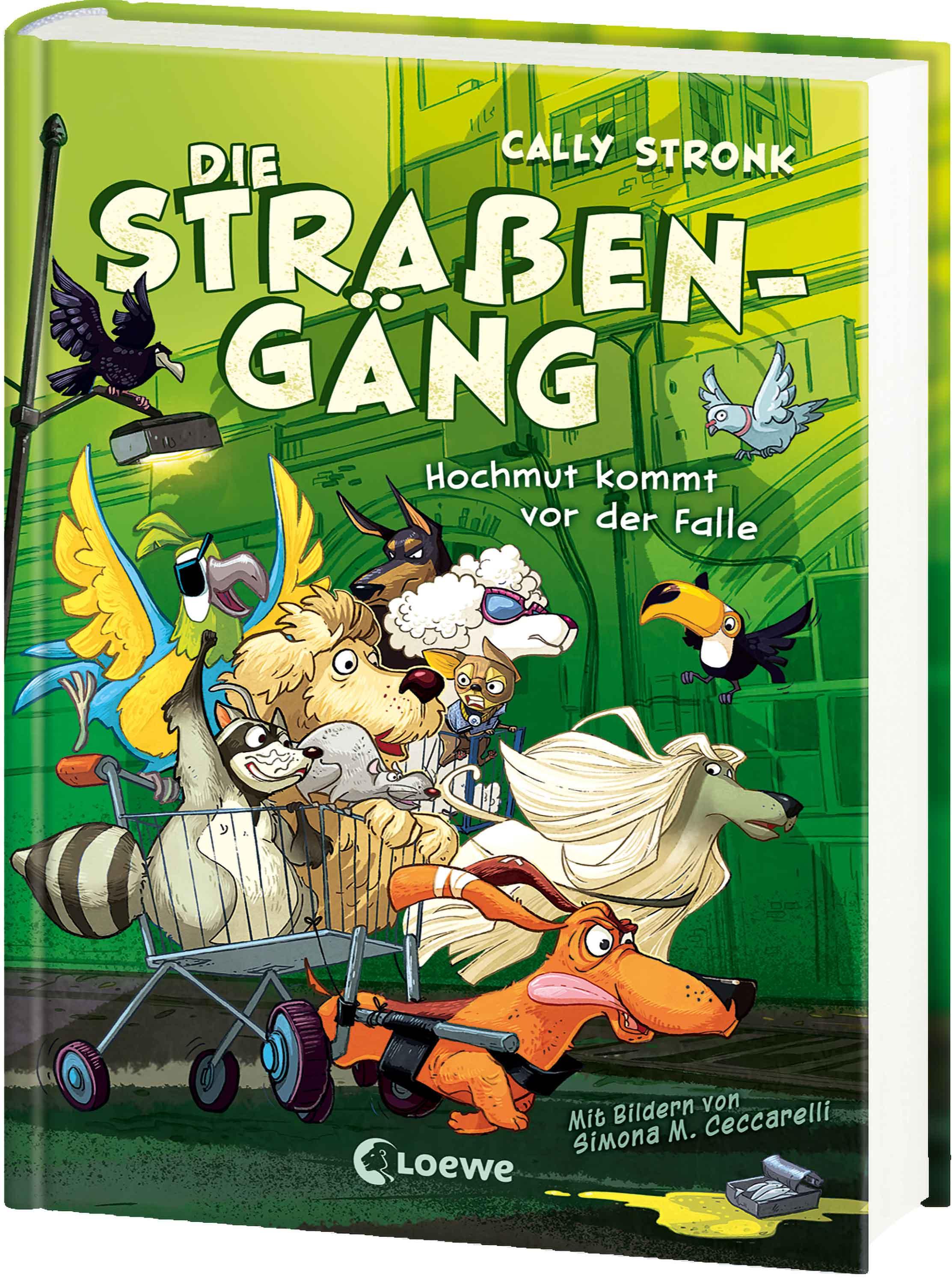 Vorderes Coverbild Die Straßengäng (Band 3) - Hochmut kommt vor der Falle
