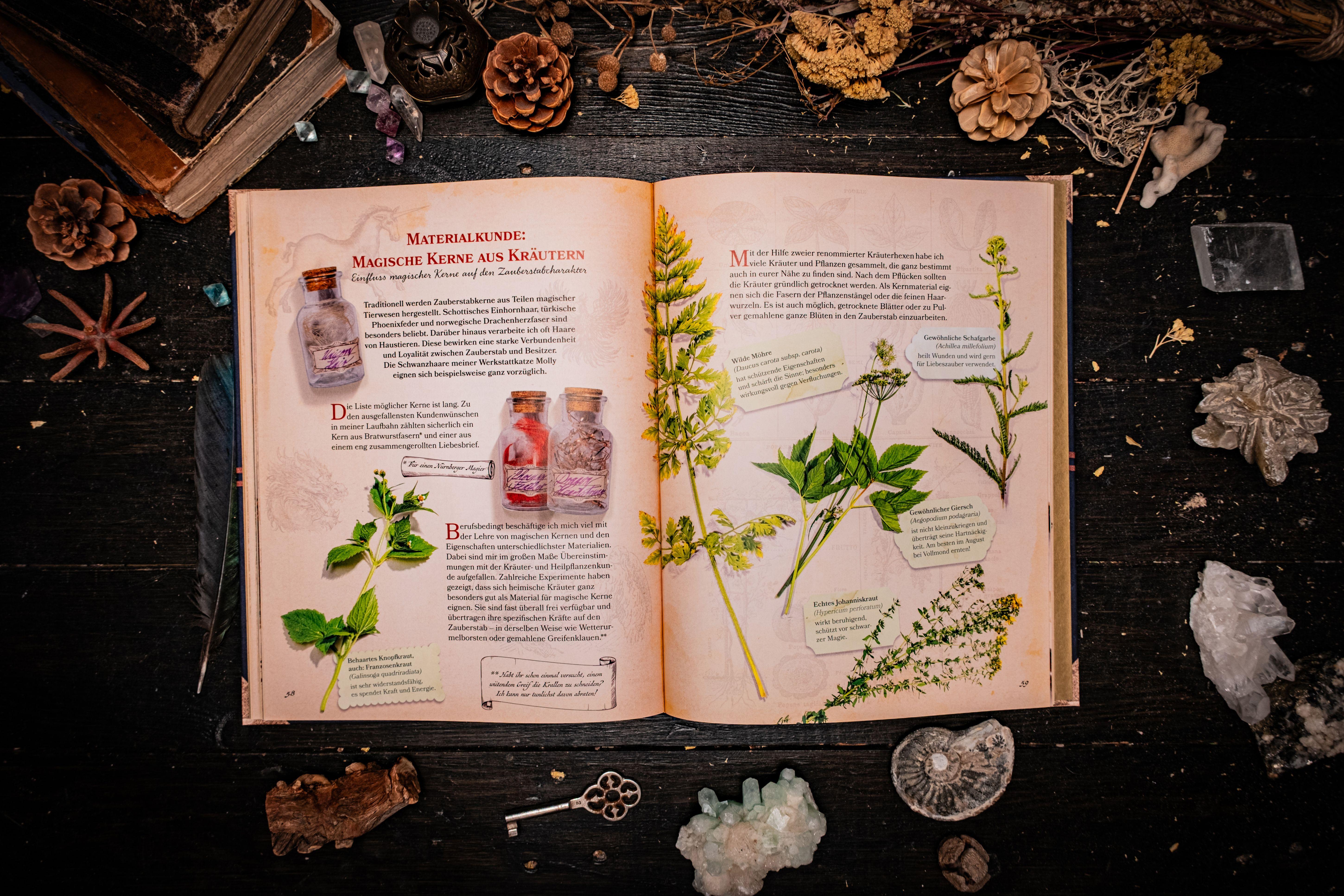 Beispielinhalt (Bild) Zauberstäbe und ihre Geheimnisse