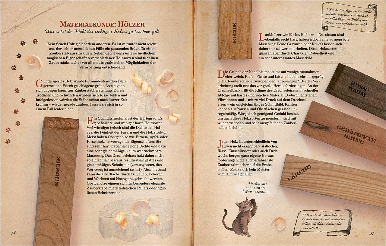 Beispielinhalt (Bild) Zauberstäbe und ihre Geheimnisse