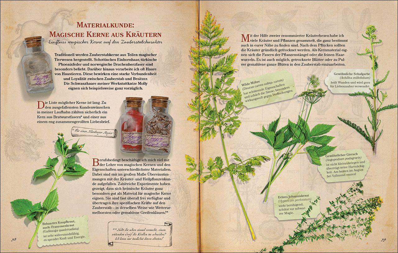 Beispielinhalt (Bild) Zauberstäbe und ihre Geheimnisse