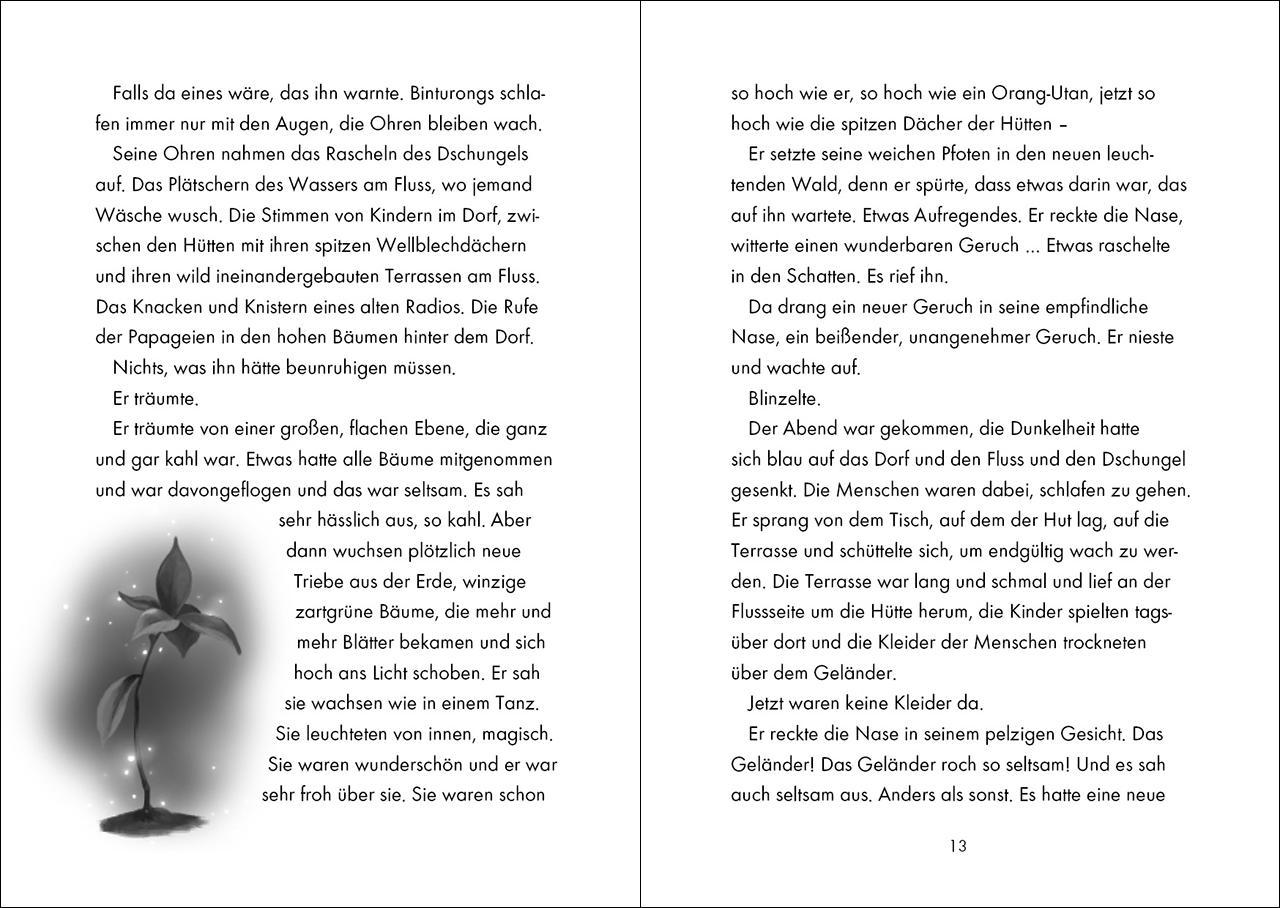 Beispielinhalt (Bild) Das geheime Leben der Tiere (Dschungel) - Das rätselhafte Nashorn