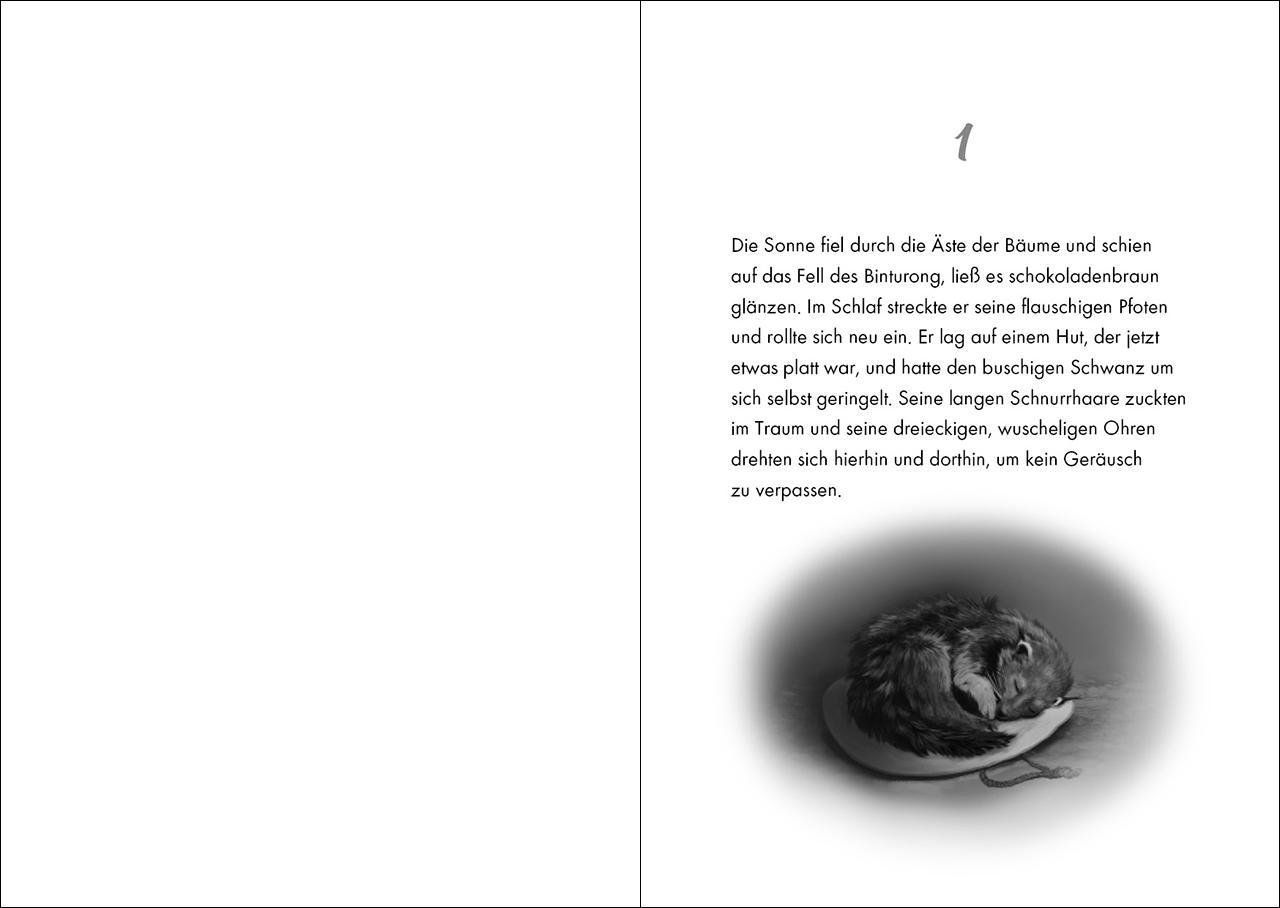 Beispielinhalt (Bild) Das geheime Leben der Tiere (Dschungel) - Das rätselhafte Nashorn