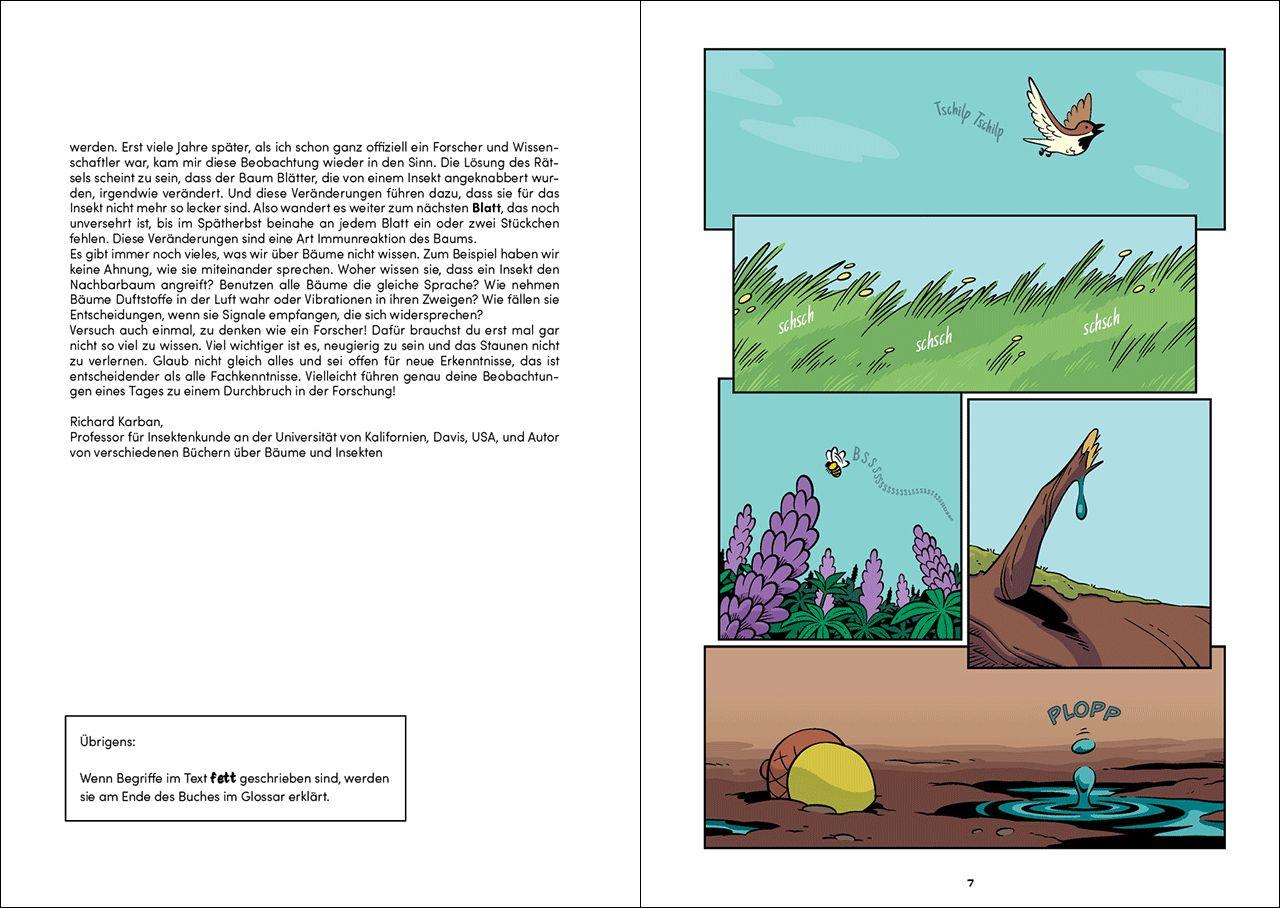 Beispielinhalt (Bild) Superbrain-Comics - Im Reich der Bäume