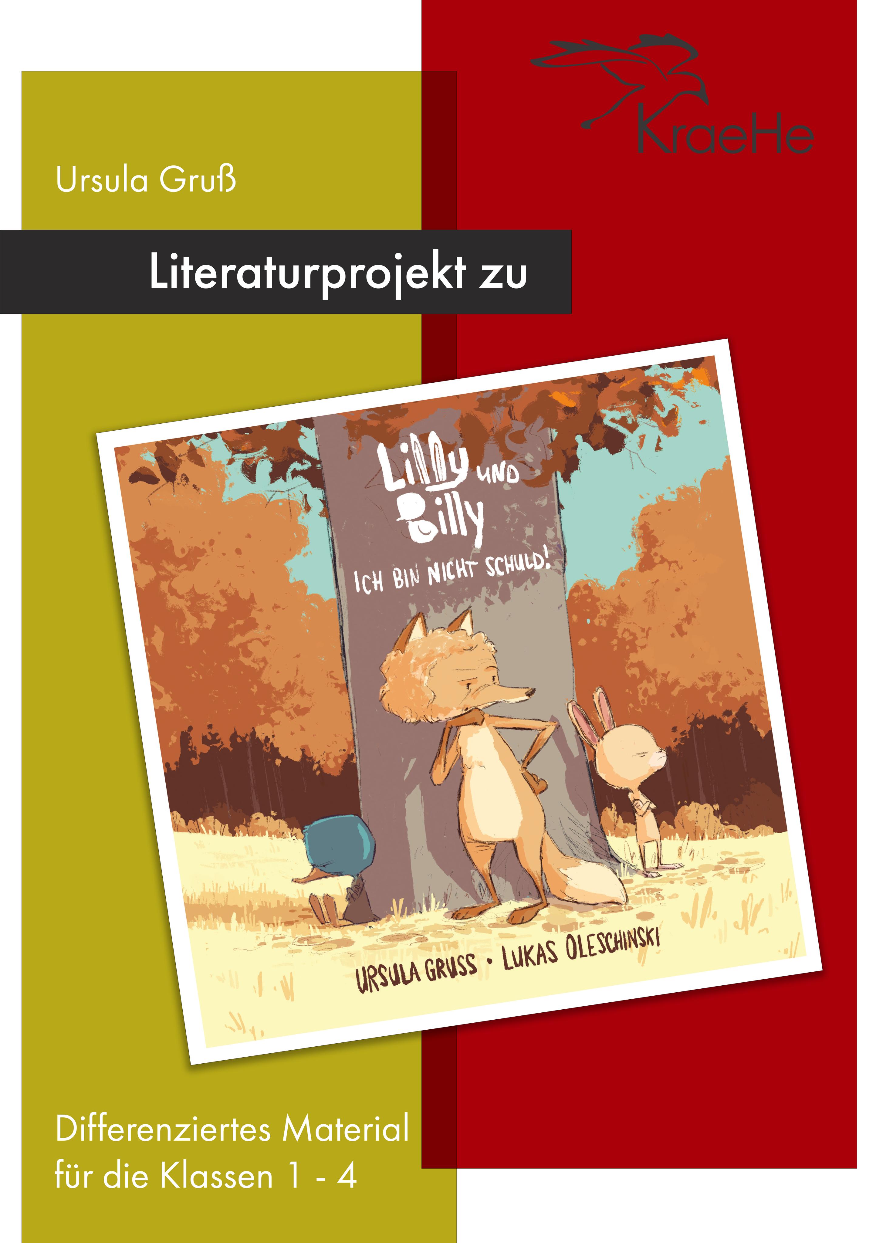 Vorderes Coverbild Literaturprojekt zu Lilly und Billy - Ich bin nicht schuld!