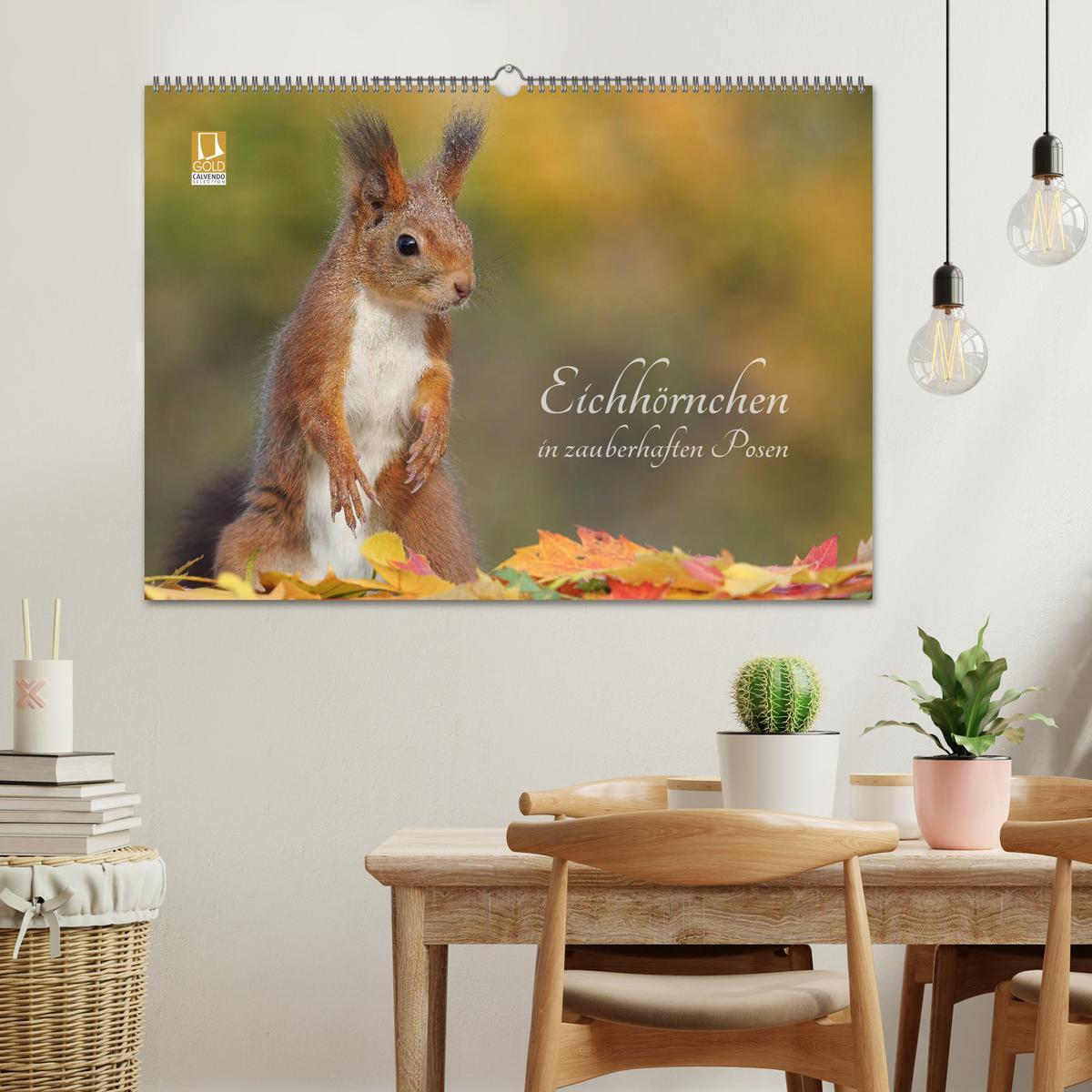 Beispielinhalt (Bild) Eichhörnchen in zauberhaften Posen (Wandkalender 2026 DIN A2 quer), CALVENDO Monatskalender