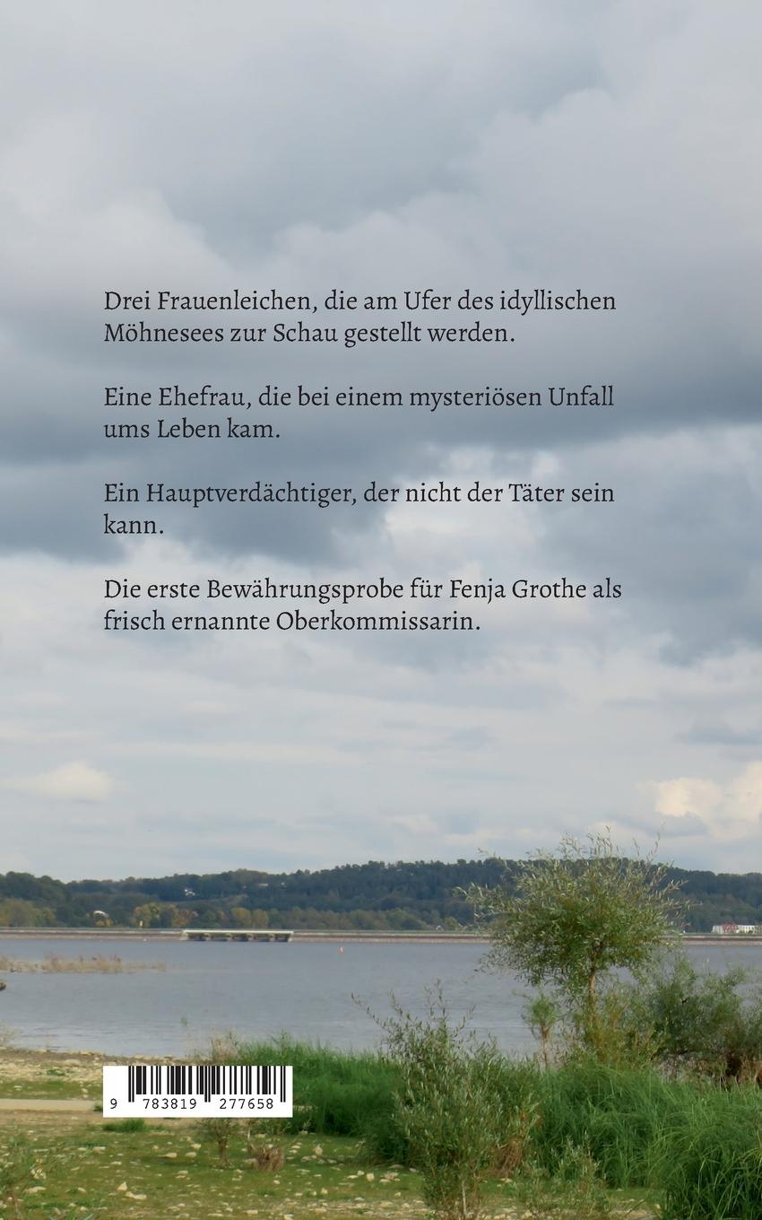 Rückseitencover Drei Tote am See