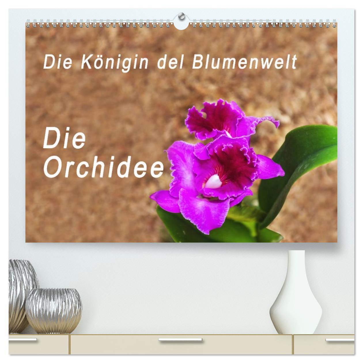Vorderes Coverbild Die Königin der Blumenwelt, die Orchidee (hochwertiger Premium Wandkalender 2026 DIN A2 quer), Kunstdruck in Hochglanz
