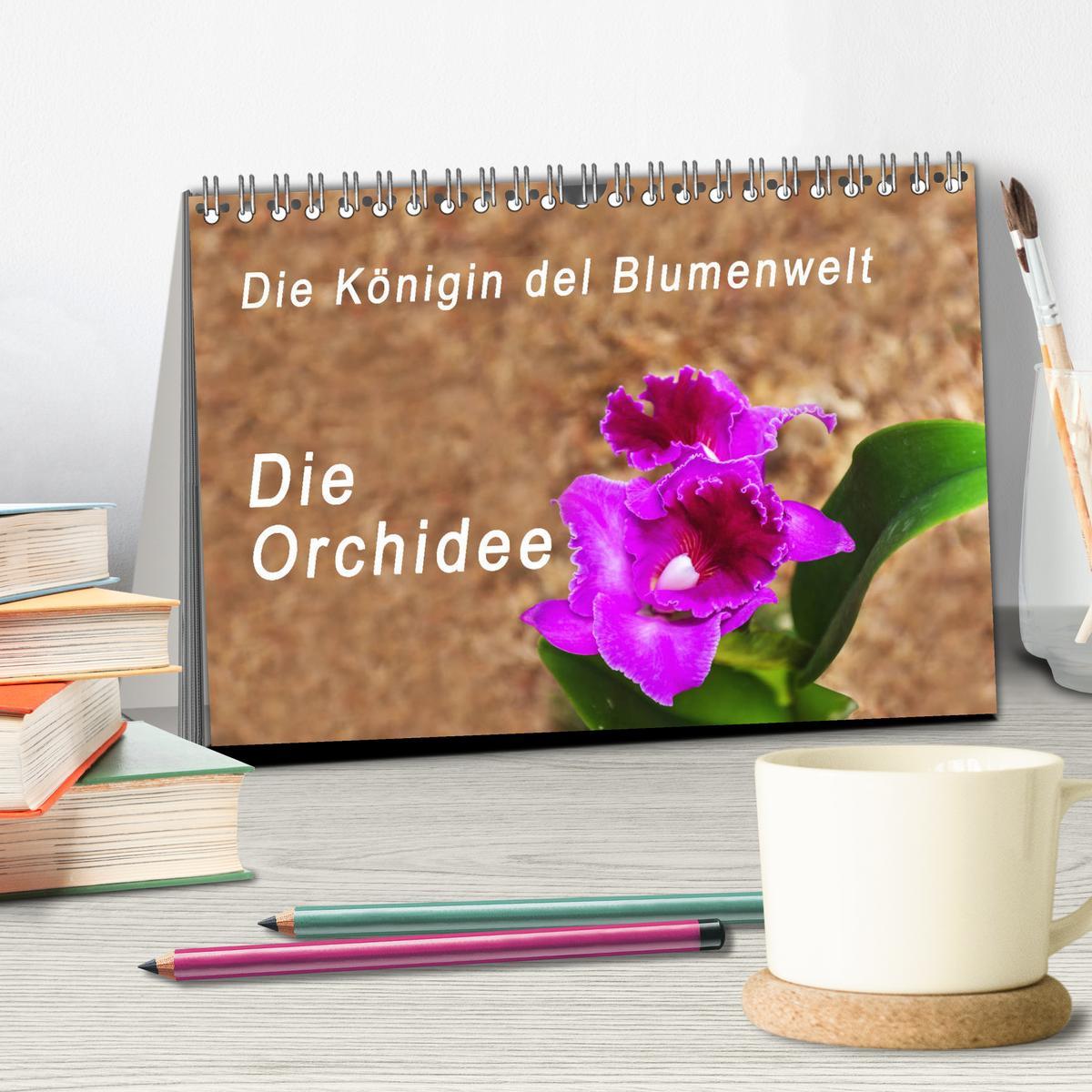 Beispielinhalt (Bild) Die Königin der Blumenwelt, die Orchidee (Tischkalender 2026 DIN A5 quer), CALVENDO Monatskalender