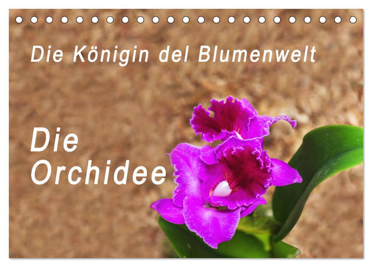 Vorderes Coverbild Die Königin der Blumenwelt, die Orchidee (Tischkalender 2026 DIN A5 quer), CALVENDO Monatskalender