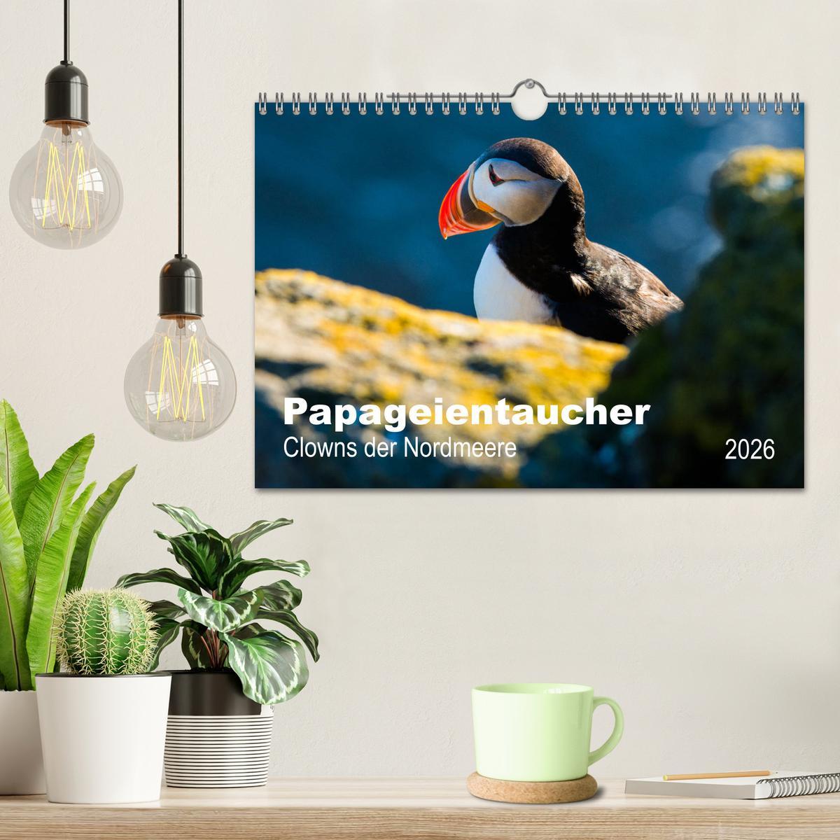 Beispielinhalt (Bild) PAPAGEIENTAUCHER - Clowns der Nordmeere (Wandkalender 2026 DIN A4 quer), CALVENDO Monatskalender