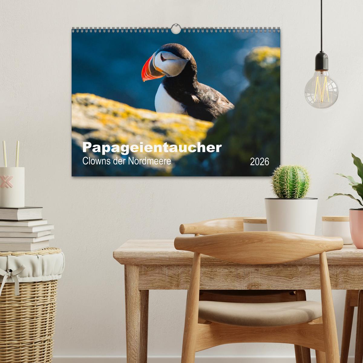 Beispielinhalt (Bild) PAPAGEIENTAUCHER - Clowns der Nordmeere (Wandkalender 2026 DIN A3 quer), CALVENDO Monatskalender