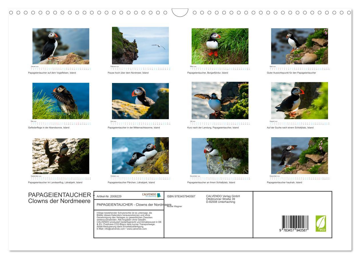 Beispielinhalt (Bild) PAPAGEIENTAUCHER - Clowns der Nordmeere (Wandkalender 2026 DIN A3 quer), CALVENDO Monatskalender