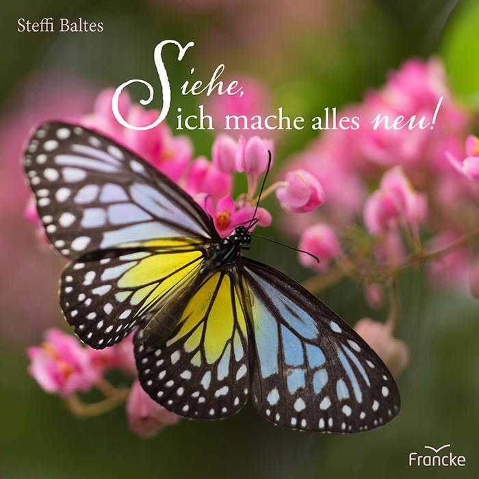 Vorderes Coverbild Siehe, ich mache alles neu!
