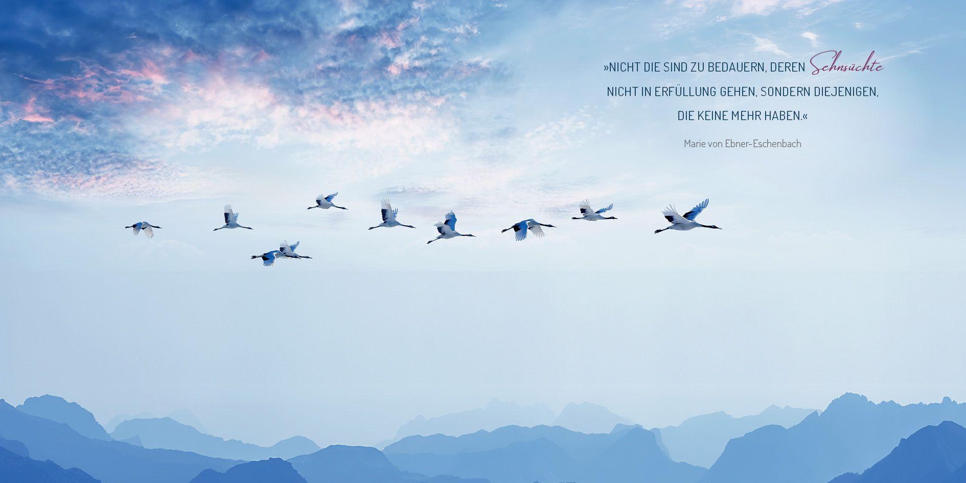 Beispielinhalt (Bild) Beflügelt von Sehnsucht