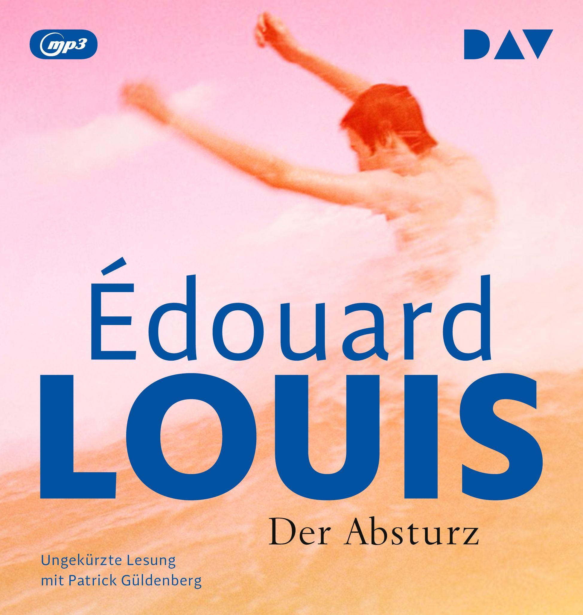 Vorderes Coverbild Der Absturz