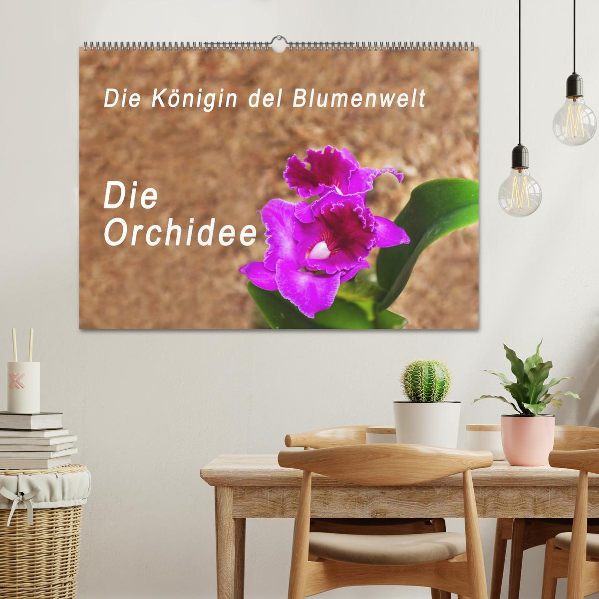 Beispielinhalt (Bild) Die Königin der Blumenwelt, die Orchidee (Wandkalender 2026 DIN A2 quer), CALVENDO Monatskalender