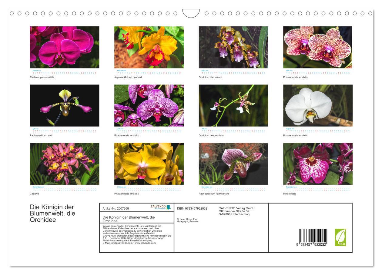 Beispielinhalt (Bild) Die Königin der Blumenwelt, die Orchidee (Wandkalender 2026 DIN A3 quer), CALVENDO Monatskalender