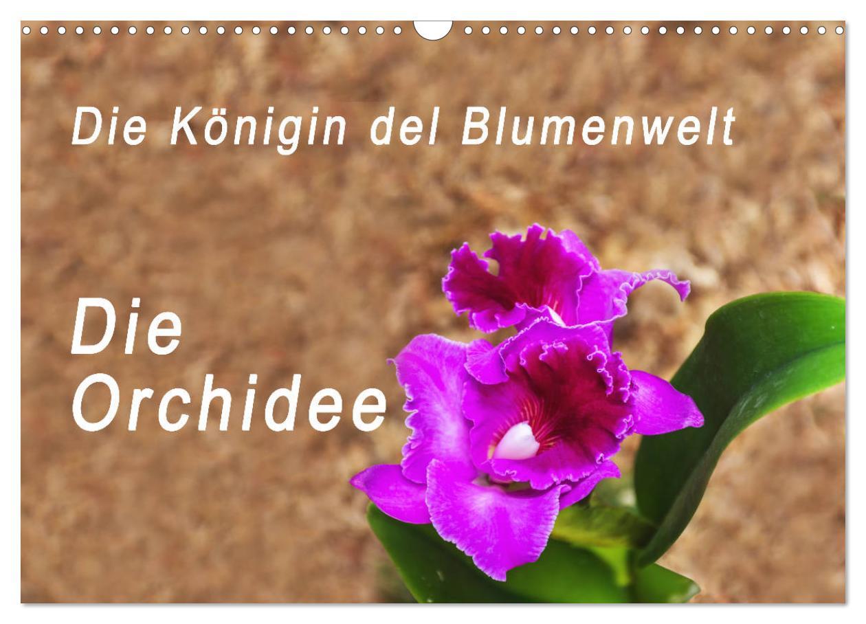 Vorderes Coverbild Die Königin der Blumenwelt, die Orchidee (Wandkalender 2026 DIN A3 quer), CALVENDO Monatskalender
