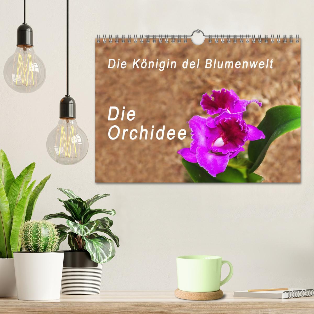 Beispielinhalt (Bild) Die Königin der Blumenwelt, die Orchidee (Wandkalender 2026 DIN A4 quer), CALVENDO Monatskalender