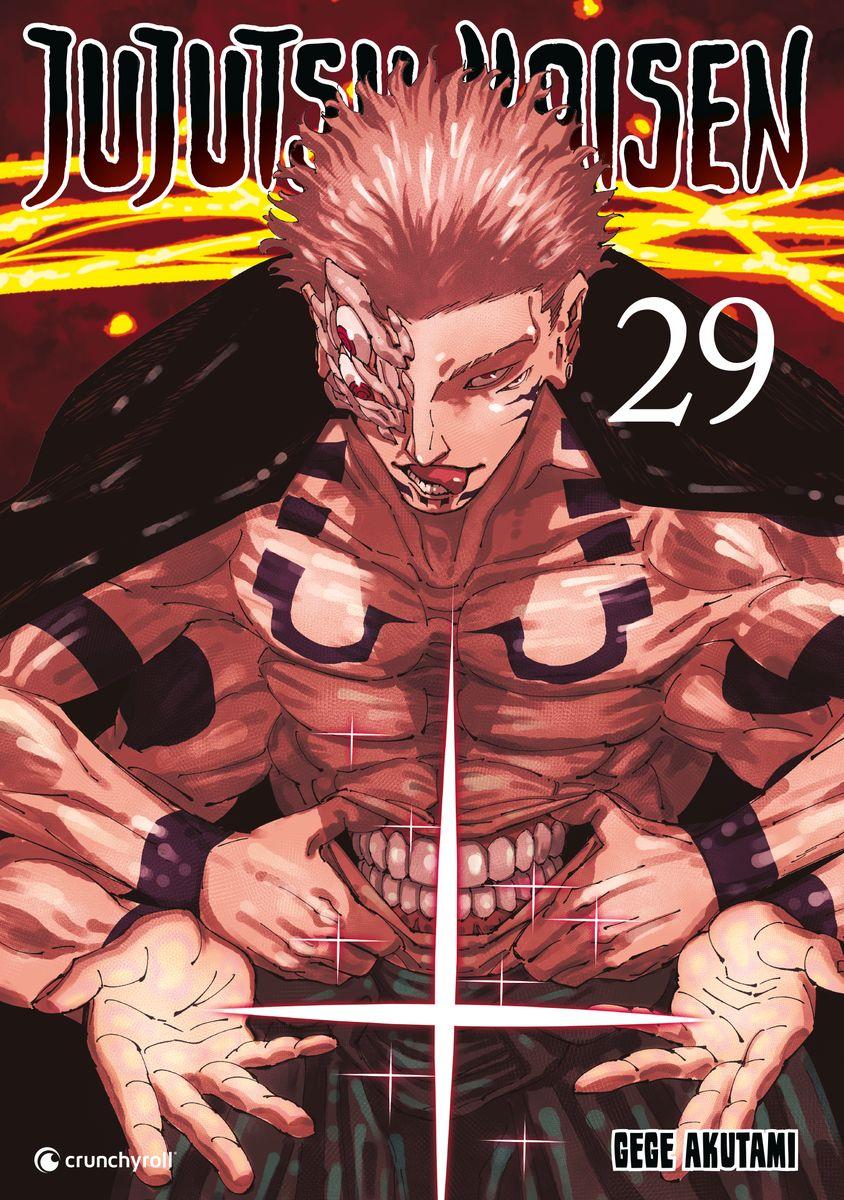 Vorderes Coverbild Jujutsu Kaisen - Band 29