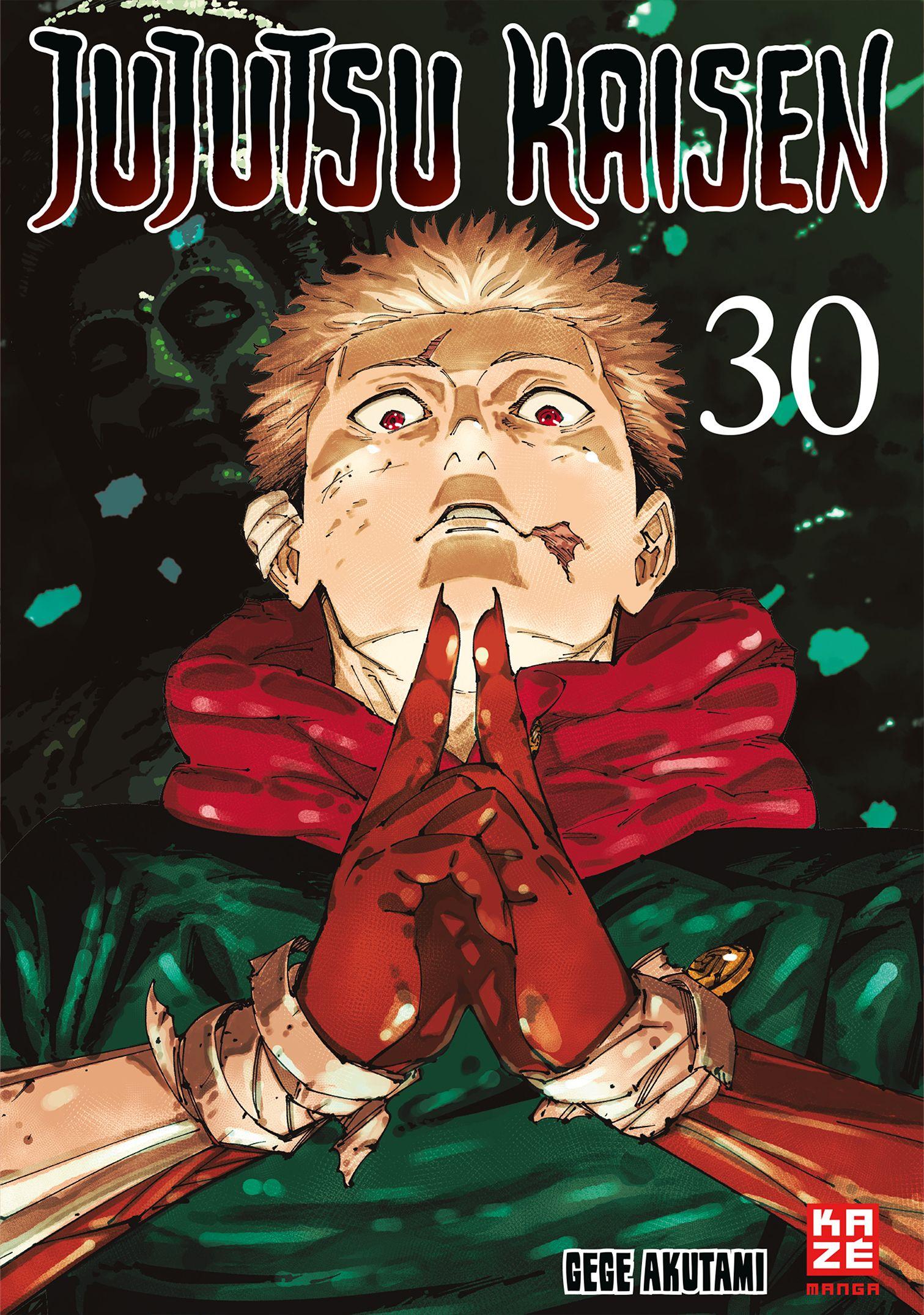 Vorderes Coverbild Jujutsu Kaisen - Band 30 (Finale)