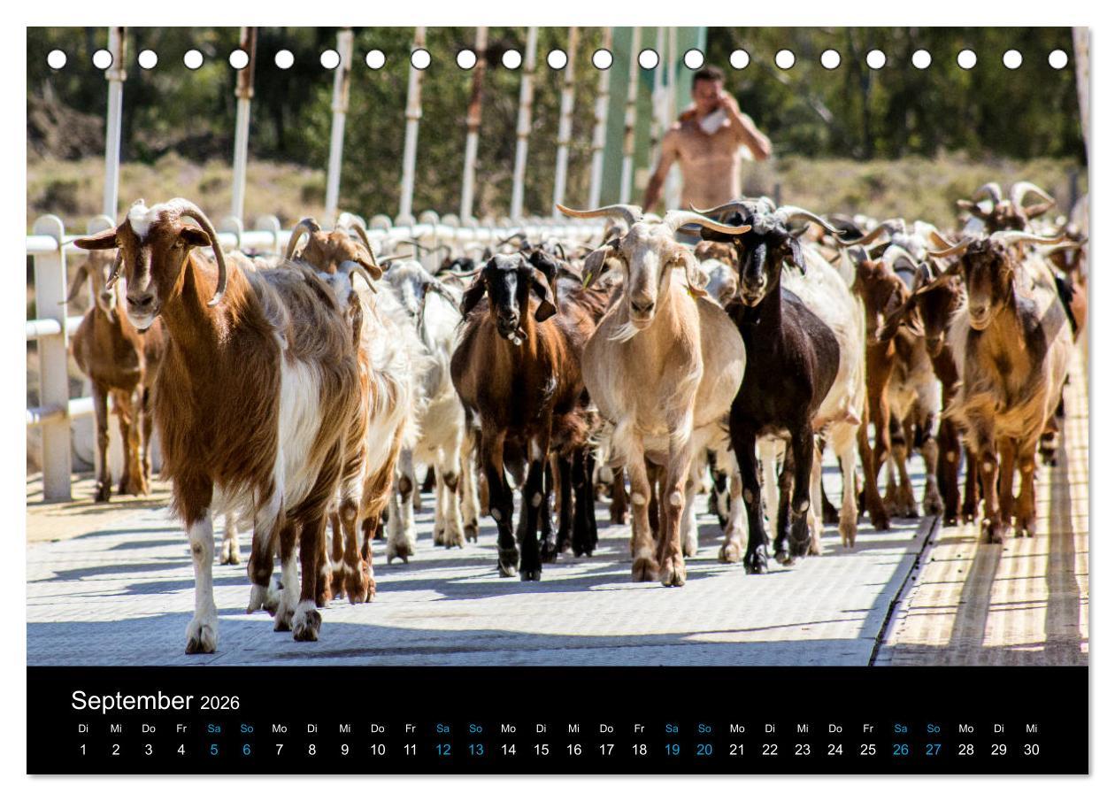 Beispielinhalt (Bild) Peloponnes, Griechisches Urgestein von grandioser Schönheit. Die Regionen Argolis, Korinthia und Attika (Tischkalender 2026 DIN A5 quer), CALVENDO Monatskalender