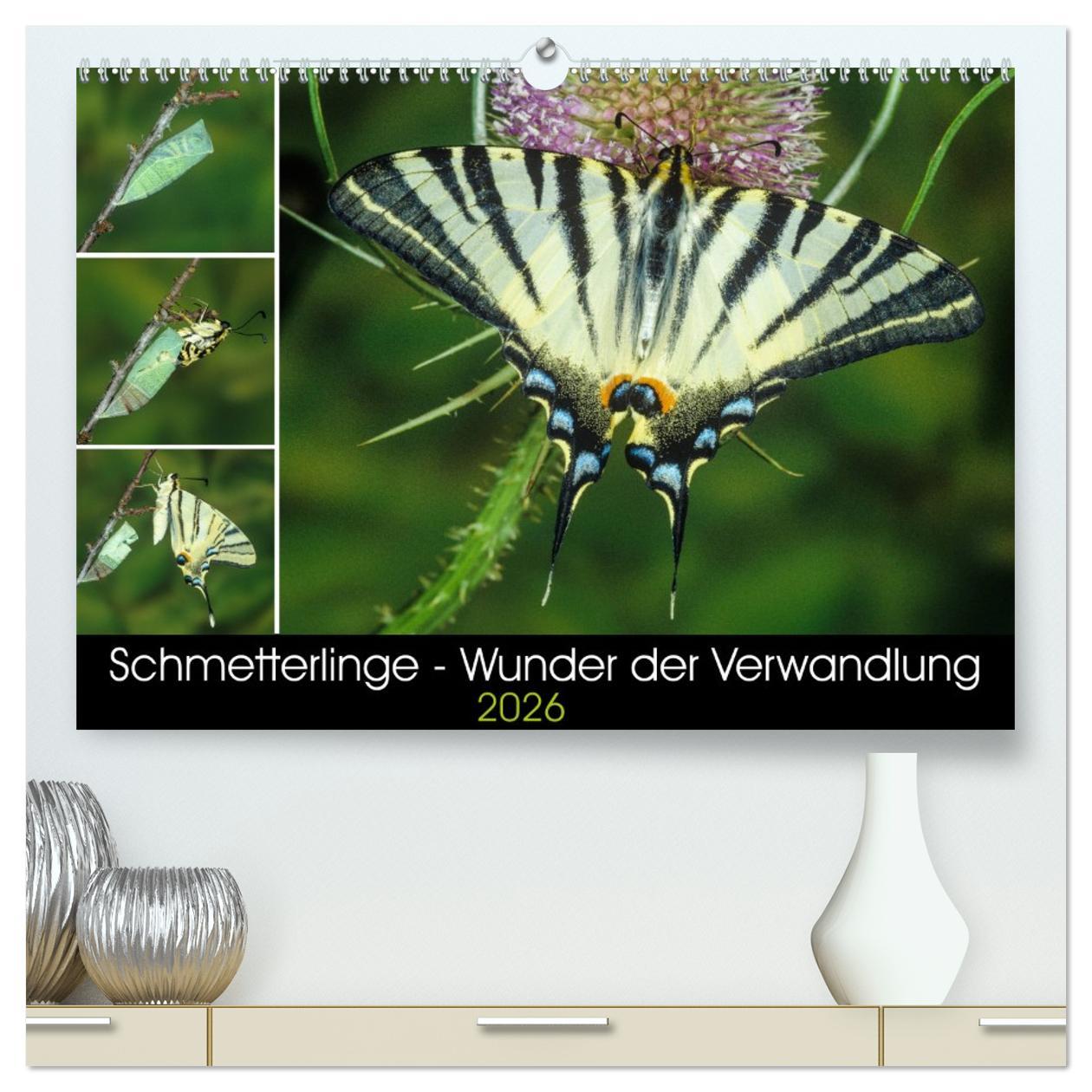 Vorderes Coverbild Schmetterlinge - Wunder der Verwandlung (hochwertiger Premium Wandkalender 2026 DIN A2 quer), Kunstdruck in Hochglanz