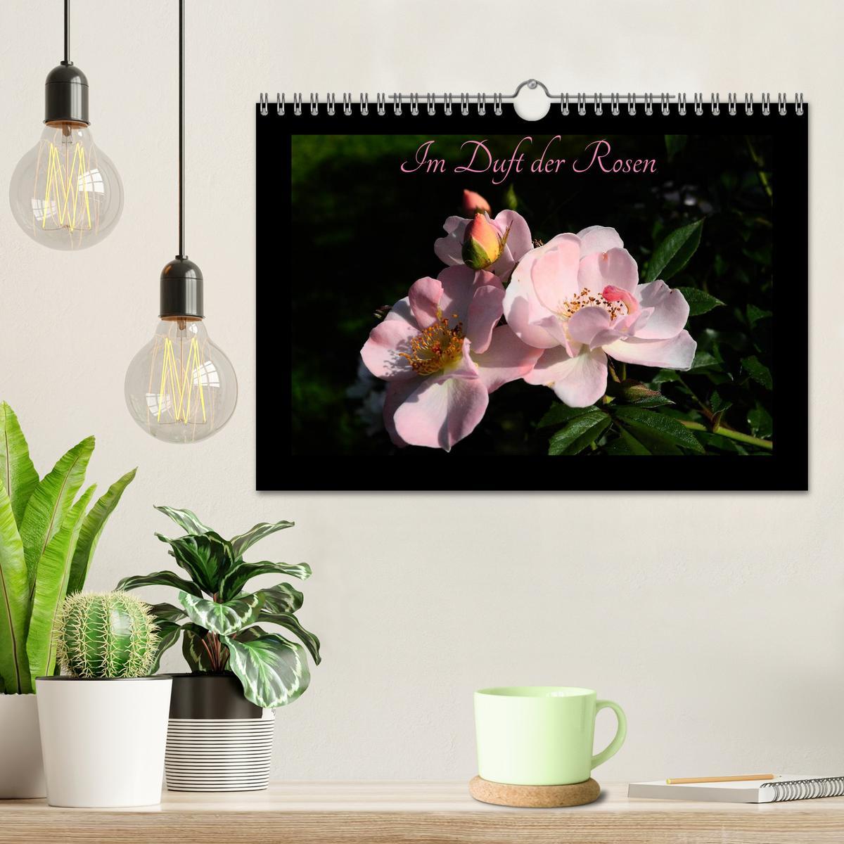 Beispielinhalt (Bild) Im Duft der Rosen (Wandkalender 2026 DIN A4 quer), CALVENDO Monatskalender