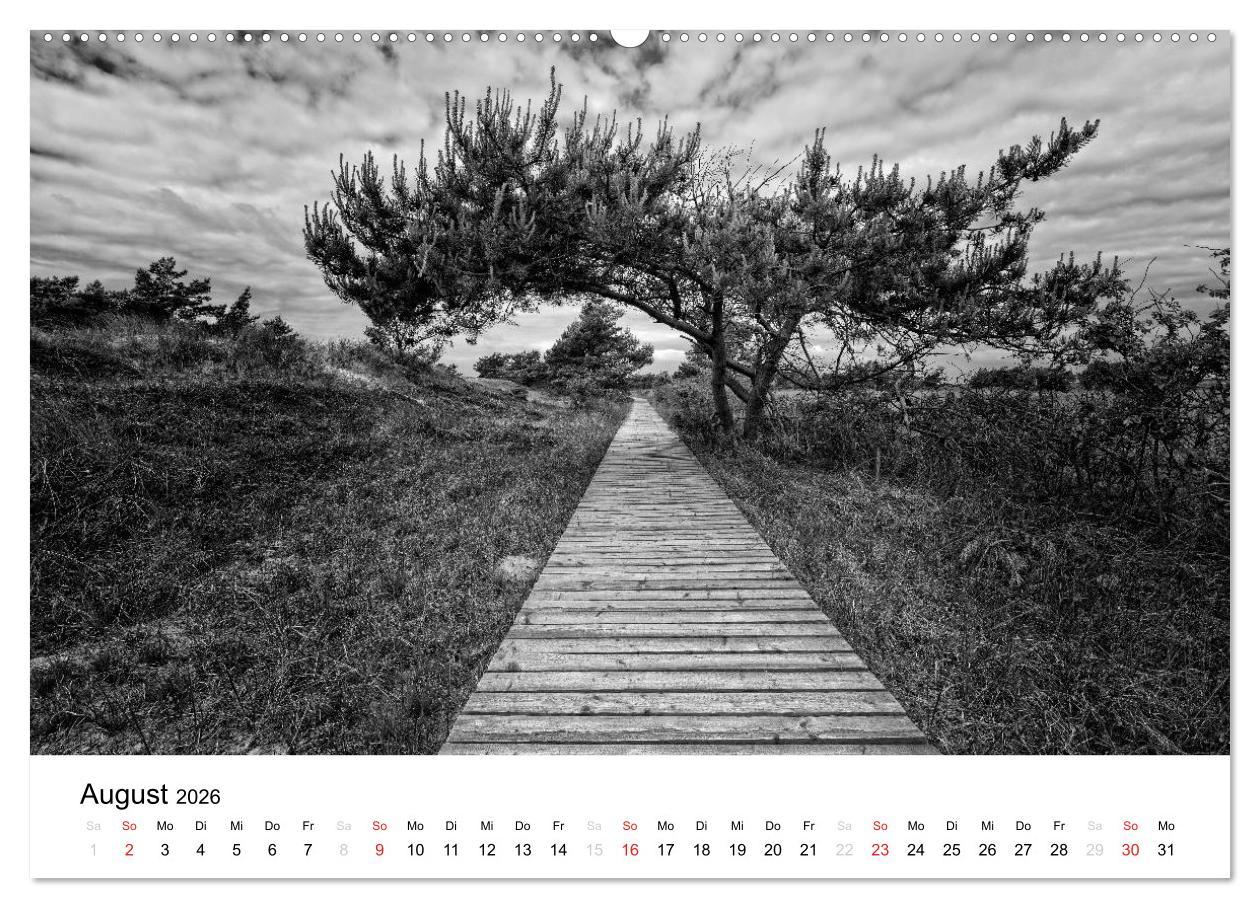 Beispielinhalt (Bild) Ostseebad Zingst - Impressionen in Schwarz-Weiß (hochwertiger Premium Wandkalender 2026 DIN A2 quer), Kunstdruck in Hochglanz