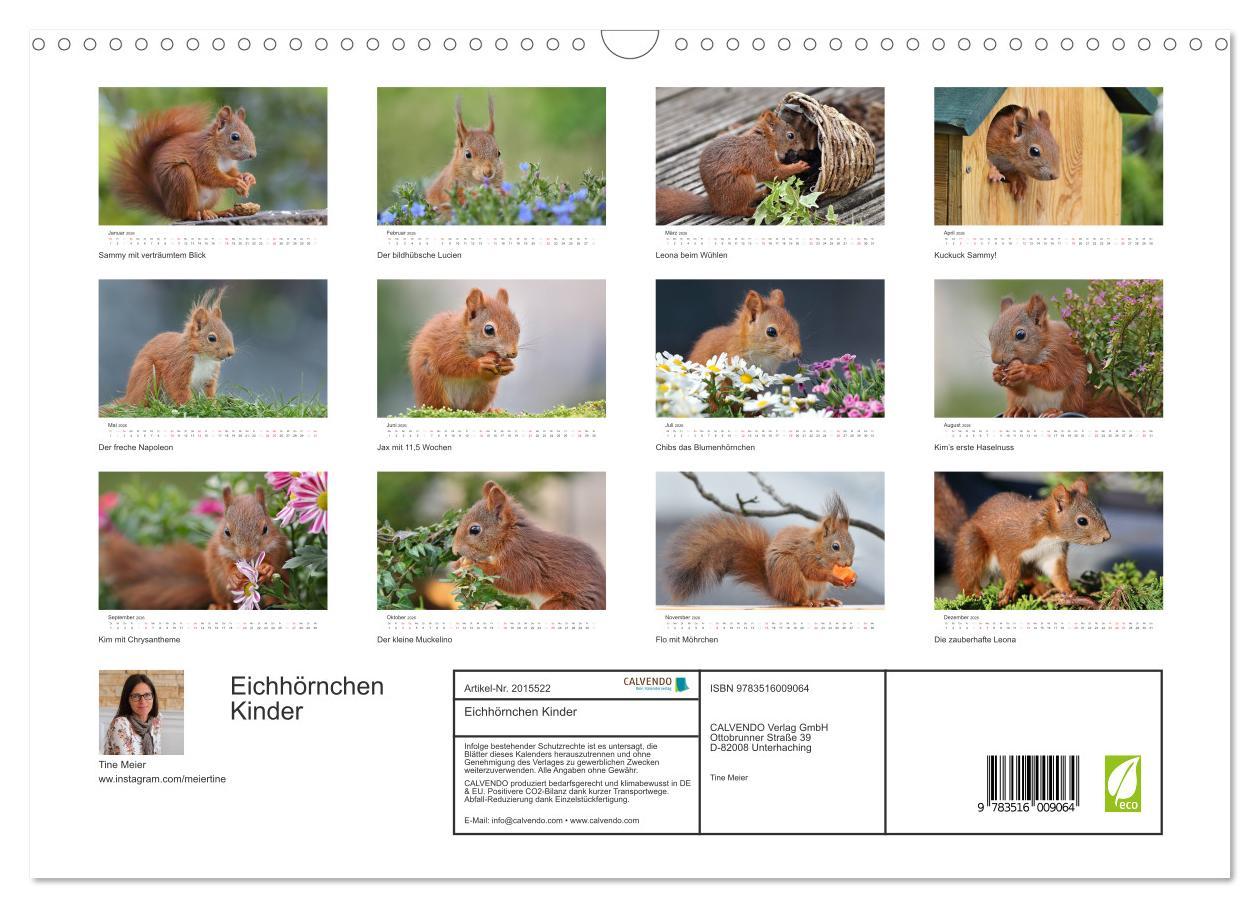 Beispielinhalt (Bild) Eichhörnchen Kinder (Wandkalender 2026 DIN A3 quer), CALVENDO Monatskalender