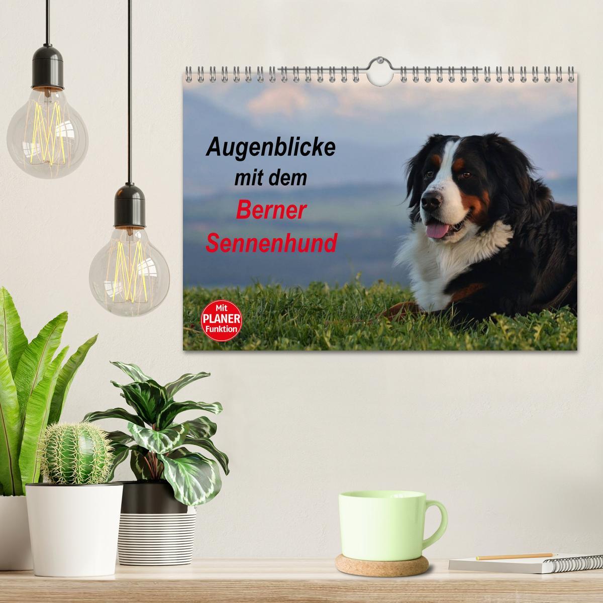 Beispielinhalt (Bild) Augenblicke mit dem Berner Sennenhund (Wandkalender 2026 DIN A4 quer), CALVENDO Monatskalender
