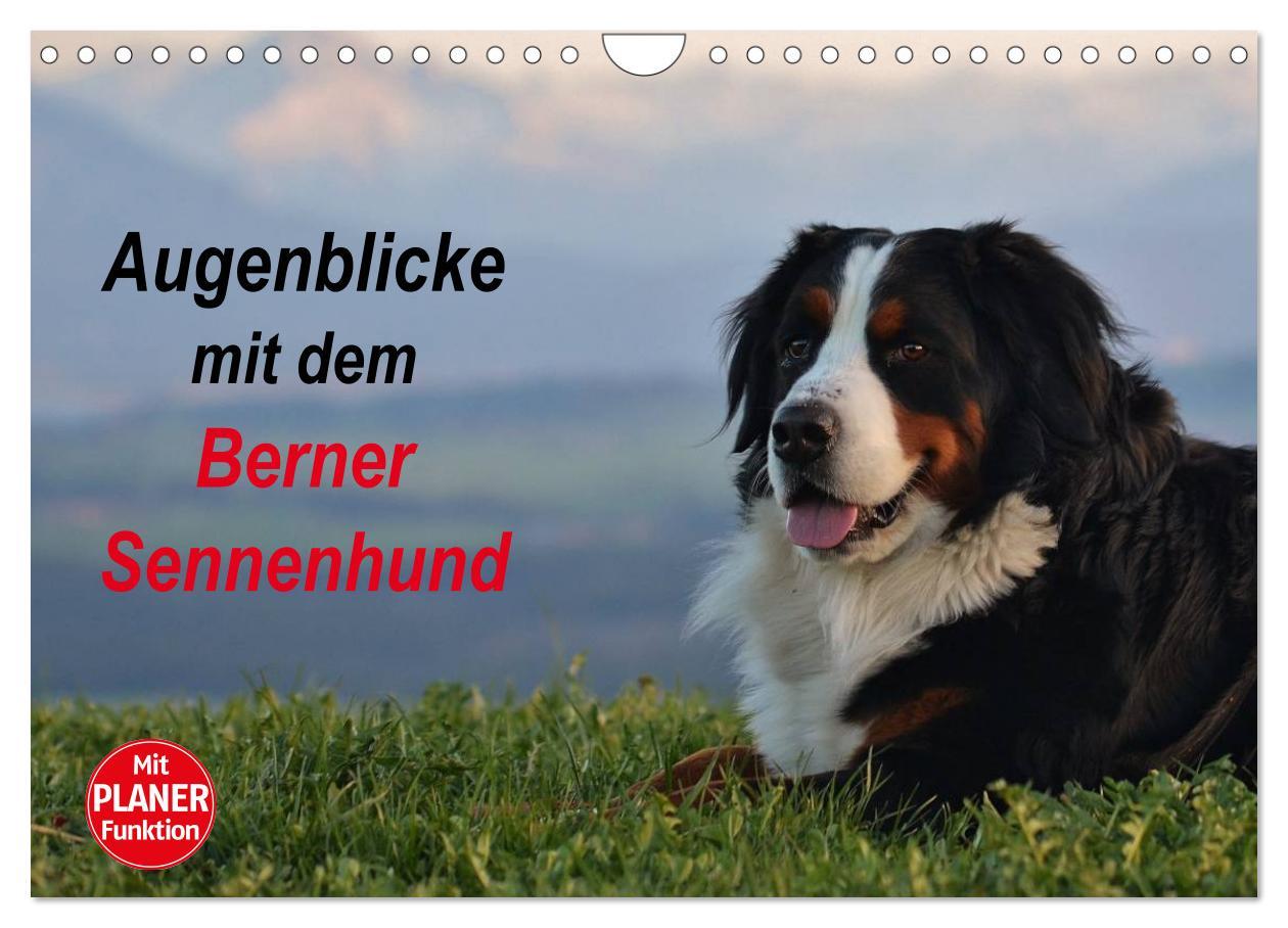 Vorderes Coverbild Augenblicke mit dem Berner Sennenhund (Wandkalender 2026 DIN A4 quer), CALVENDO Monatskalender