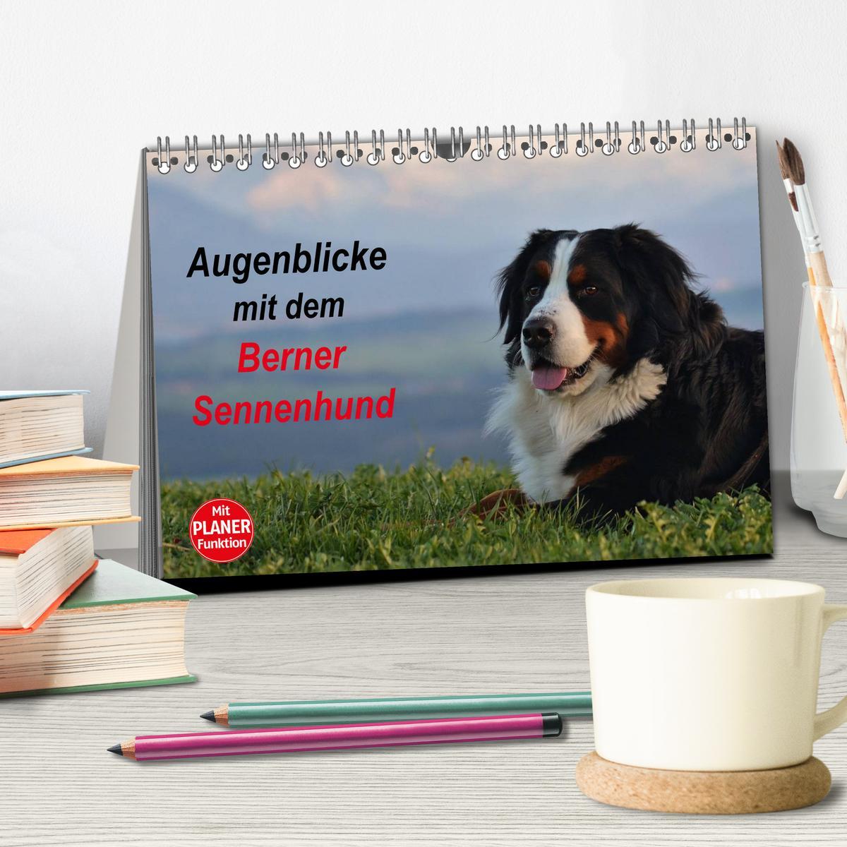 Beispielinhalt (Bild) Augenblicke mit dem Berner Sennenhund (Tischkalender 2026 DIN A5 quer), CALVENDO Monatskalender