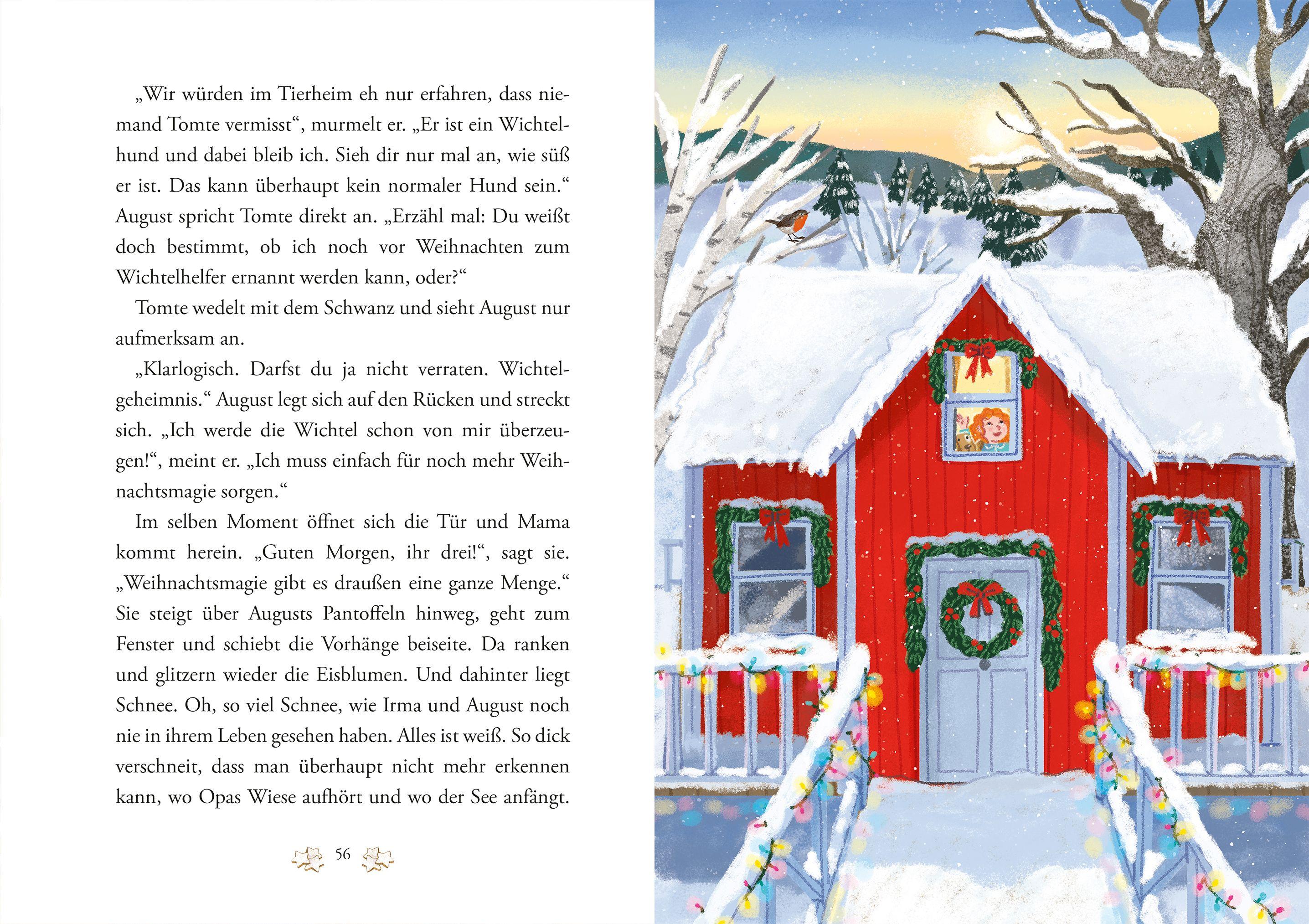 Beispielinhalt (Bild) Zimtsternewinter