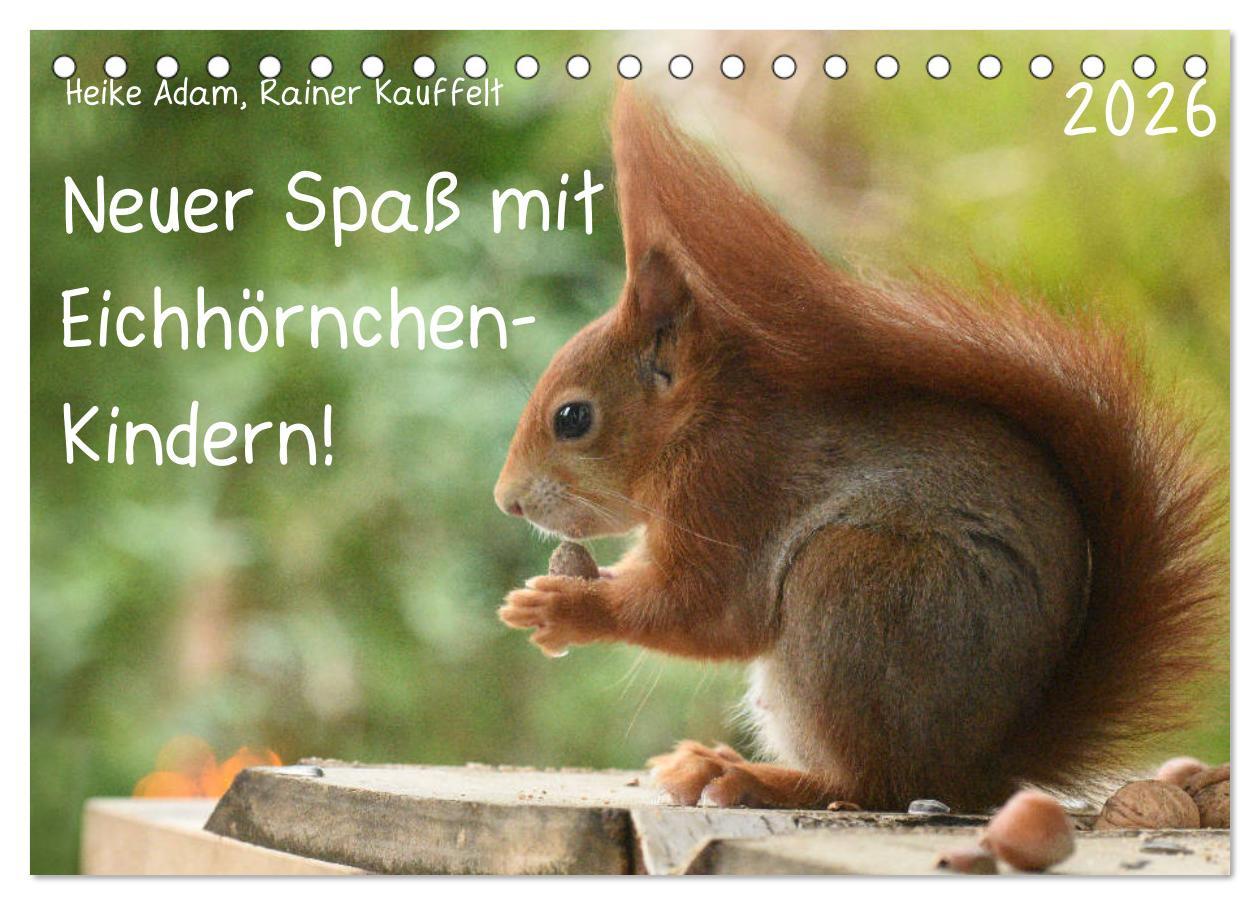 Vorderes Coverbild Neuer Spaß mit Eichhörnchen-Kindern (Tischkalender 2026 DIN A5 quer), CALVENDO Monatskalender
