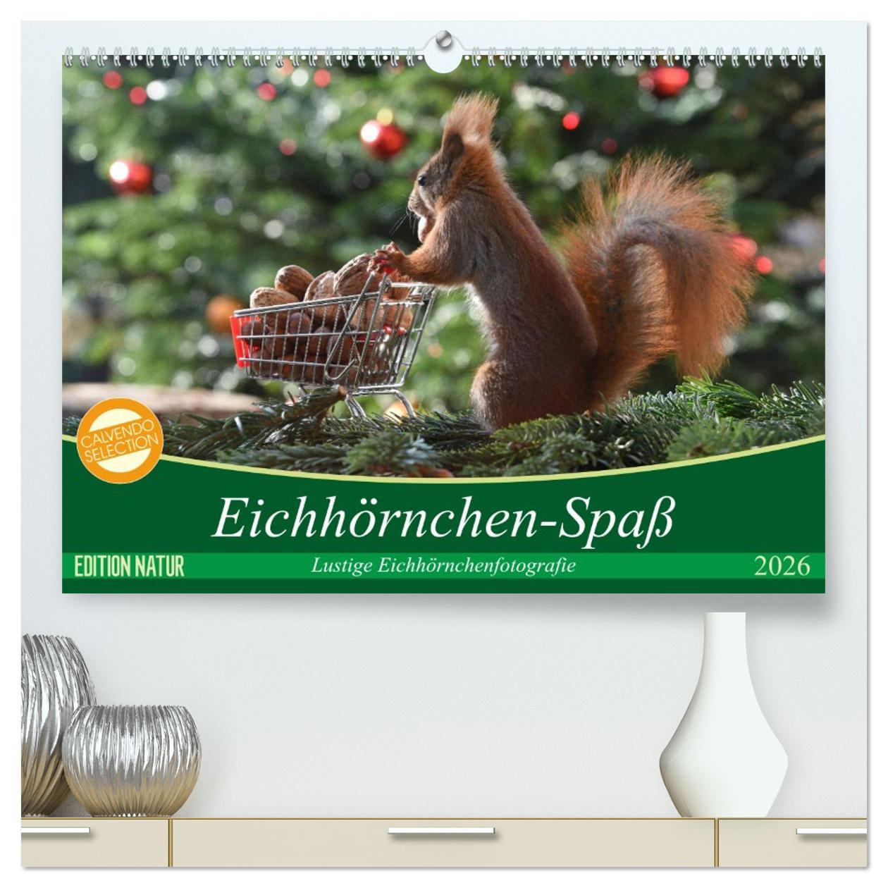 Vorderes Coverbild Eichhörnchen-Spaß (hochwertiger Premium Wandkalender 2026 DIN A2 quer), Kunstdruck in Hochglanz