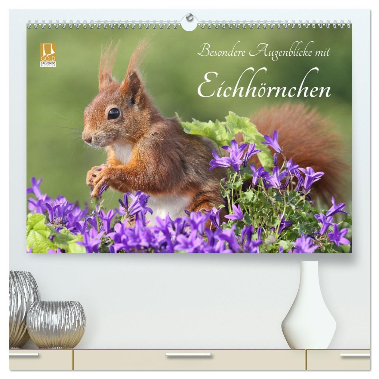 Vorderes Coverbild Besondere Augenblicke mit Eichhörnchen (hochwertiger Premium Wandkalender 2026 DIN A2 quer), Kunstdruck in Hochglanz