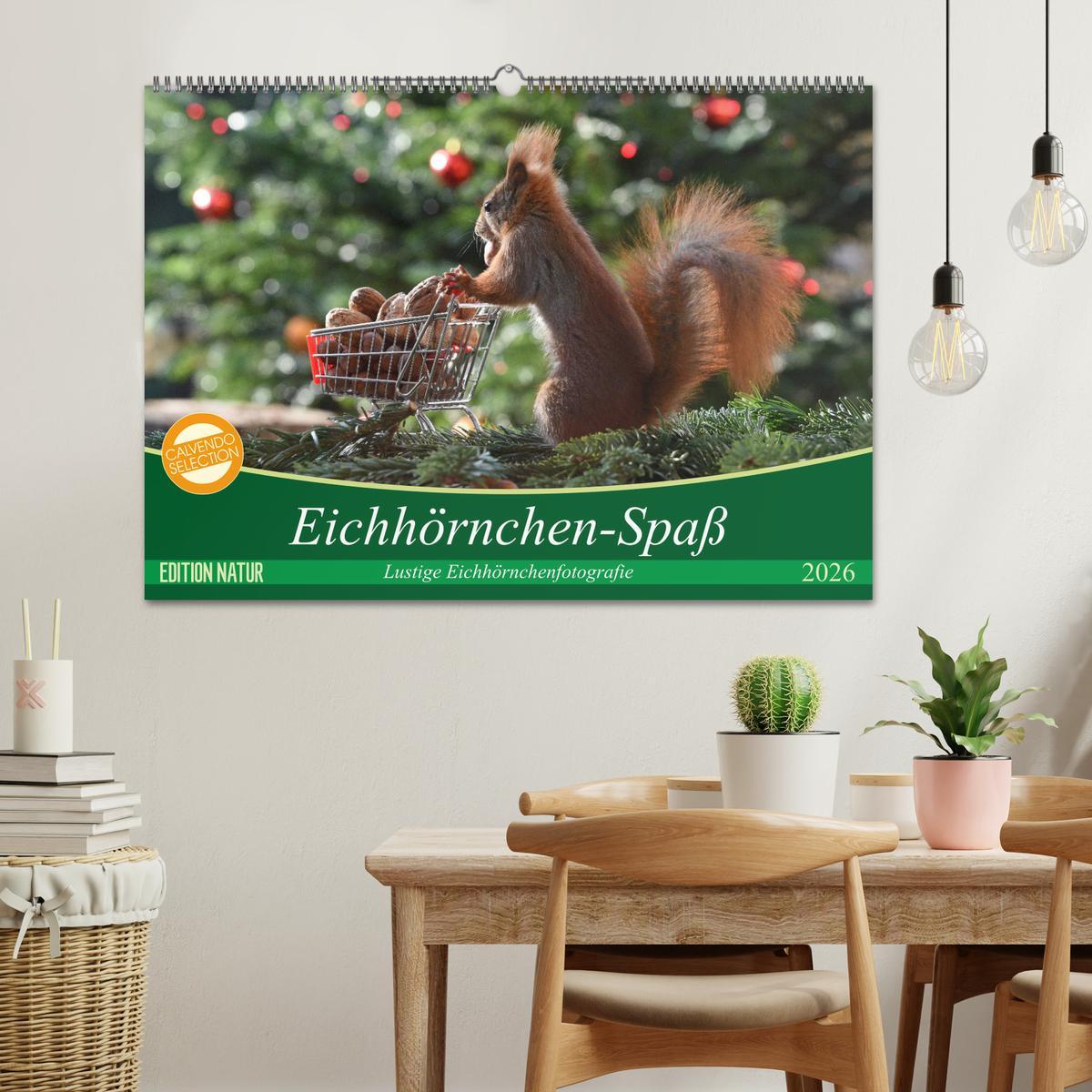 Beispielinhalt (Bild) Eichhörnchen-Spaß (Wandkalender 2026 DIN A2 quer), CALVENDO Monatskalender