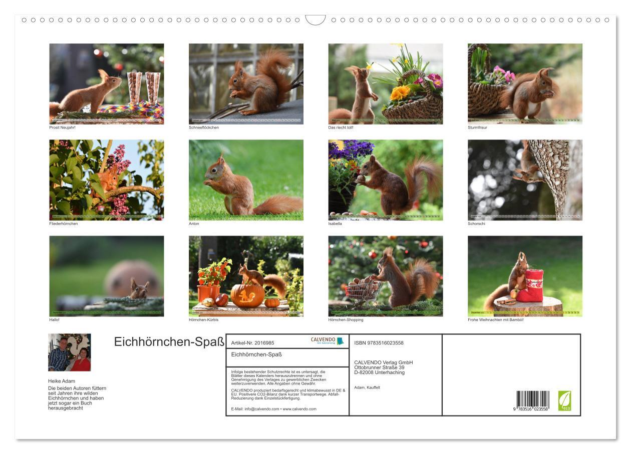 Beispielinhalt (Bild) Eichhörnchen-Spaß (Wandkalender 2026 DIN A2 quer), CALVENDO Monatskalender