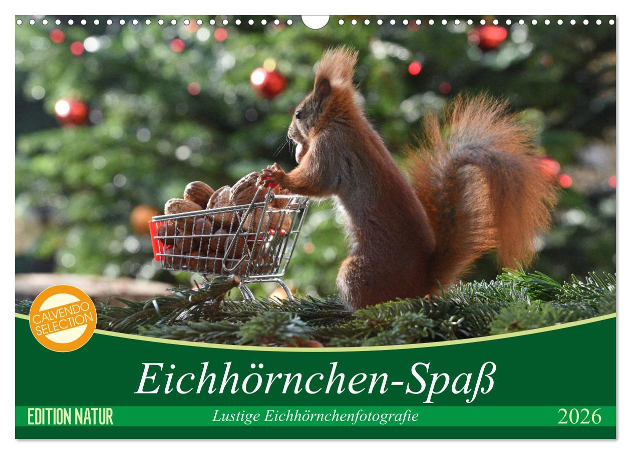 Vorderes Coverbild Eichhörnchen-Spaß (Wandkalender 2026 DIN A3 quer), CALVENDO Monatskalender
