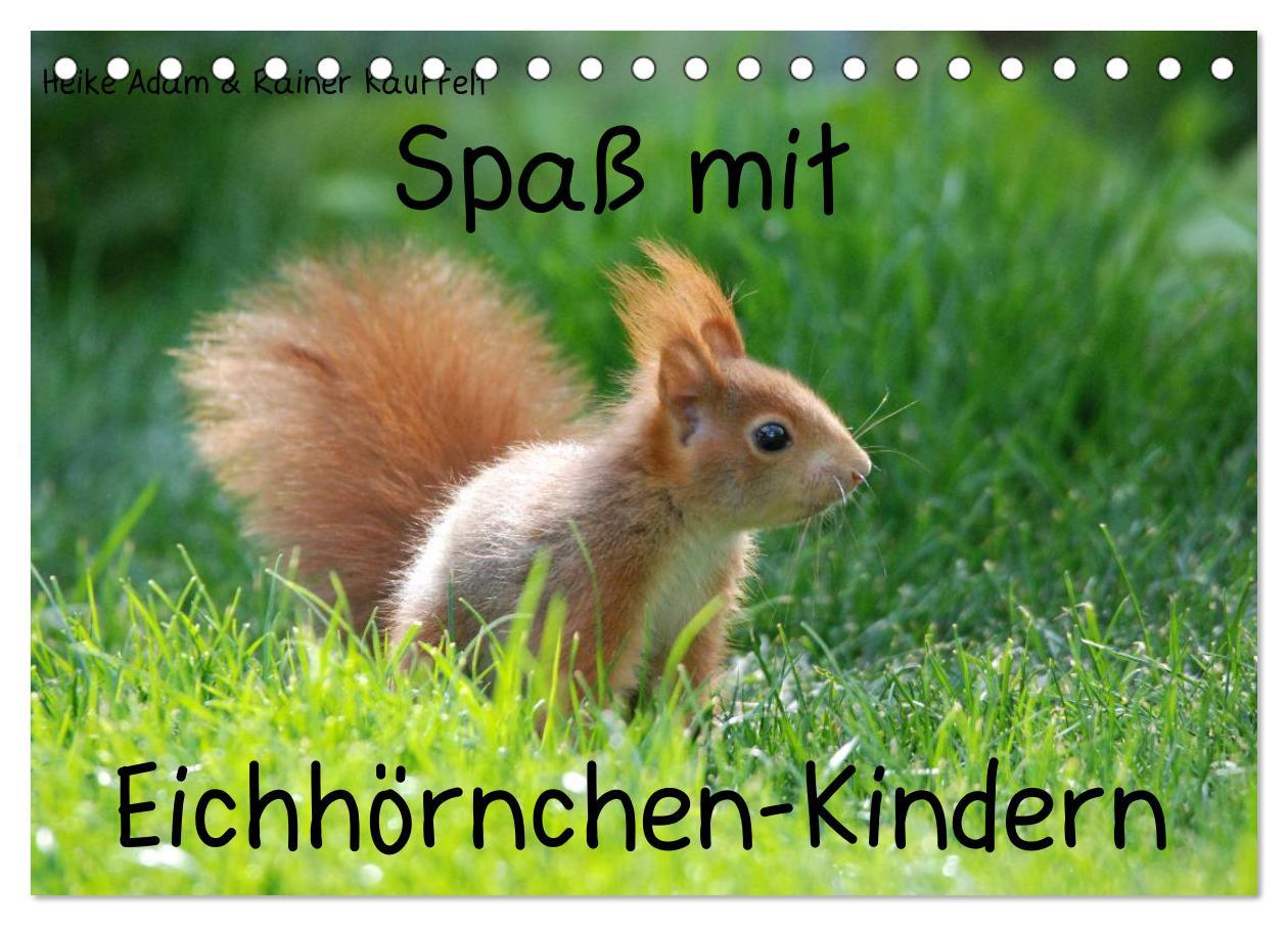 Vorderes Coverbild Spaß mit Eichhörnchen-Kindern (Tischkalender 2026 DIN A5 quer), CALVENDO Monatskalender