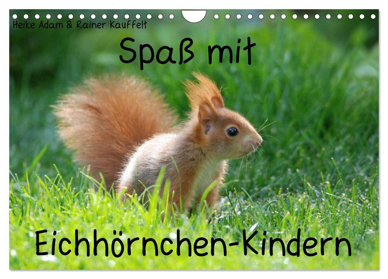 Vorderes Coverbild Spaß mit Eichhörnchen-Kindern (Wandkalender 2026 DIN A4 quer), CALVENDO Monatskalender