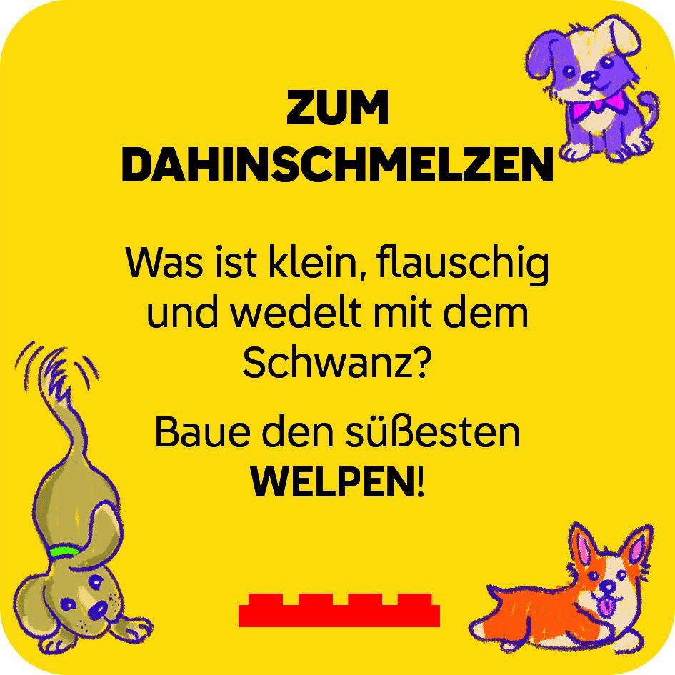 Beispielinhalt (Bild) LEGO® - ReCreate Karten - Hund, Katze & Co.