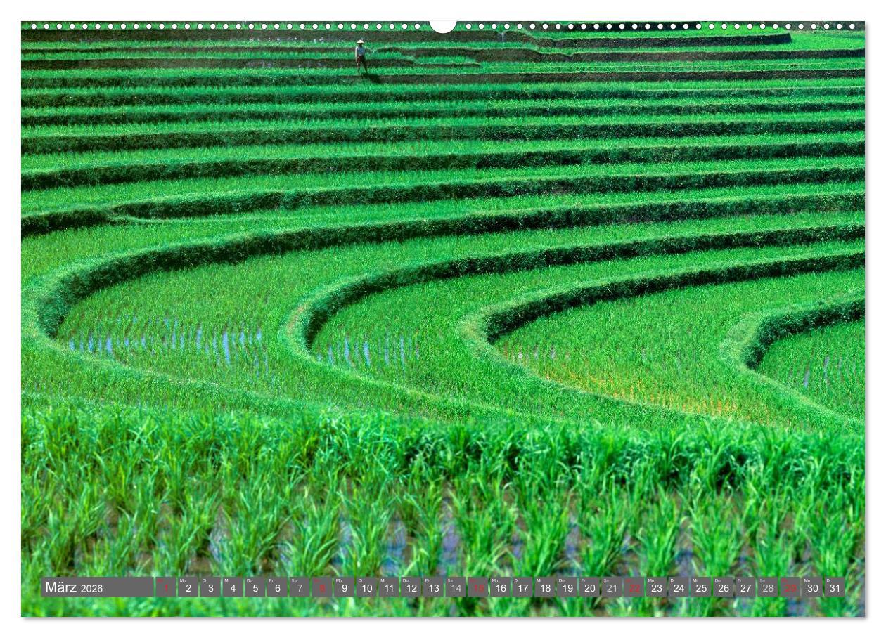 Beispielinhalt (Bild) Peter Fischer - Bali 2026 (Wandkalender 2026 DIN A2 quer), CALVENDO Monatskalender