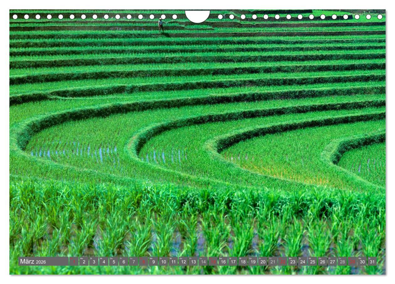 Beispielinhalt (Bild) Peter Fischer - Bali 2026 (Wandkalender 2026 DIN A4 quer), CALVENDO Monatskalender