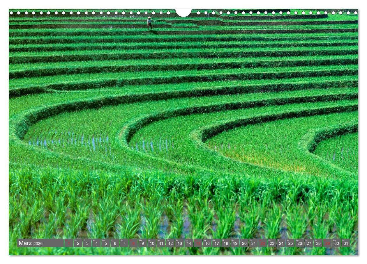 Beispielinhalt (Bild) Peter Fischer - Bali 2026 (Wandkalender 2026 DIN A3 quer), CALVENDO Monatskalender