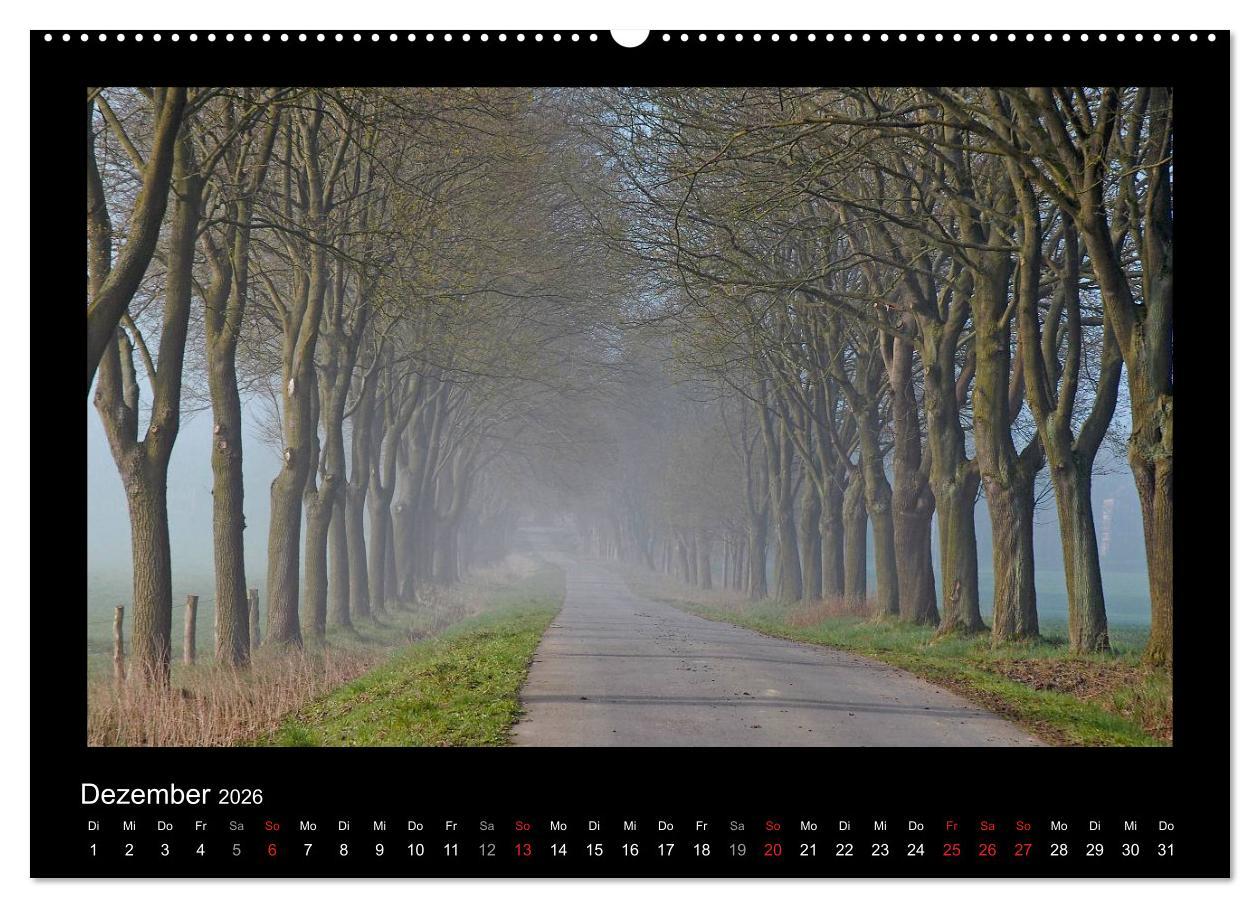 Beispielinhalt (Bild) Märchenhafter Reinhardswald und Urwald Sababurg (hochwertiger Premium Wandkalender 2026 DIN A2 quer), Kunstdruck in Hochglanz