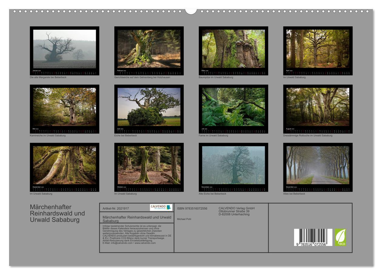 Beispielinhalt (Bild) Märchenhafter Reinhardswald und Urwald Sababurg (hochwertiger Premium Wandkalender 2026 DIN A2 quer), Kunstdruck in Hochglanz