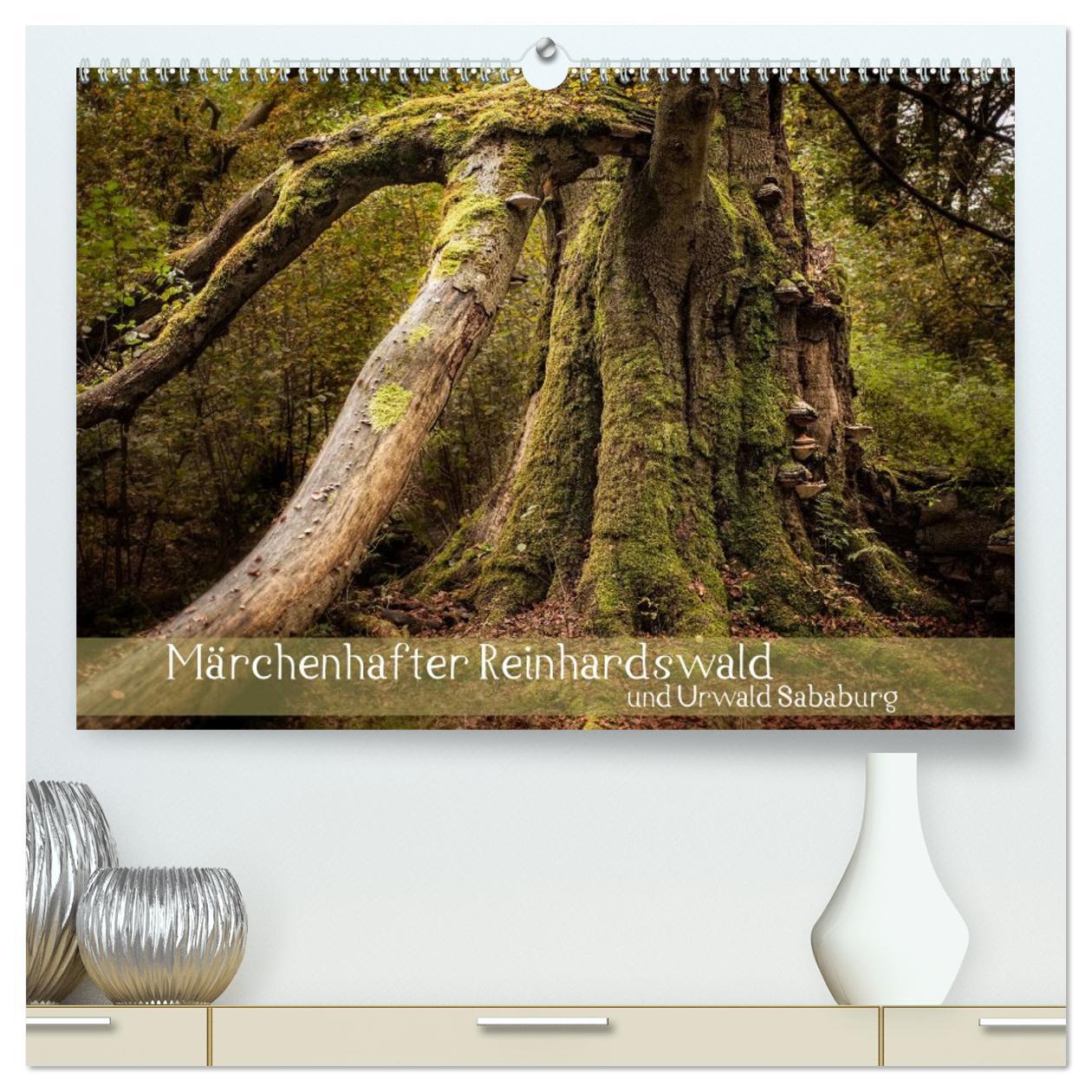 Vorderes Coverbild Märchenhafter Reinhardswald und Urwald Sababurg (hochwertiger Premium Wandkalender 2026 DIN A2 quer), Kunstdruck in Hochglanz