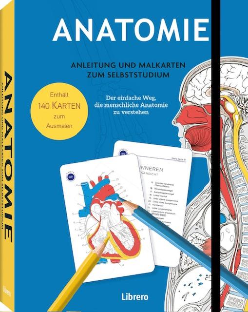 Vorderes Coverbild Anatomie - Anleitung und Malkarten zum Selbststudium